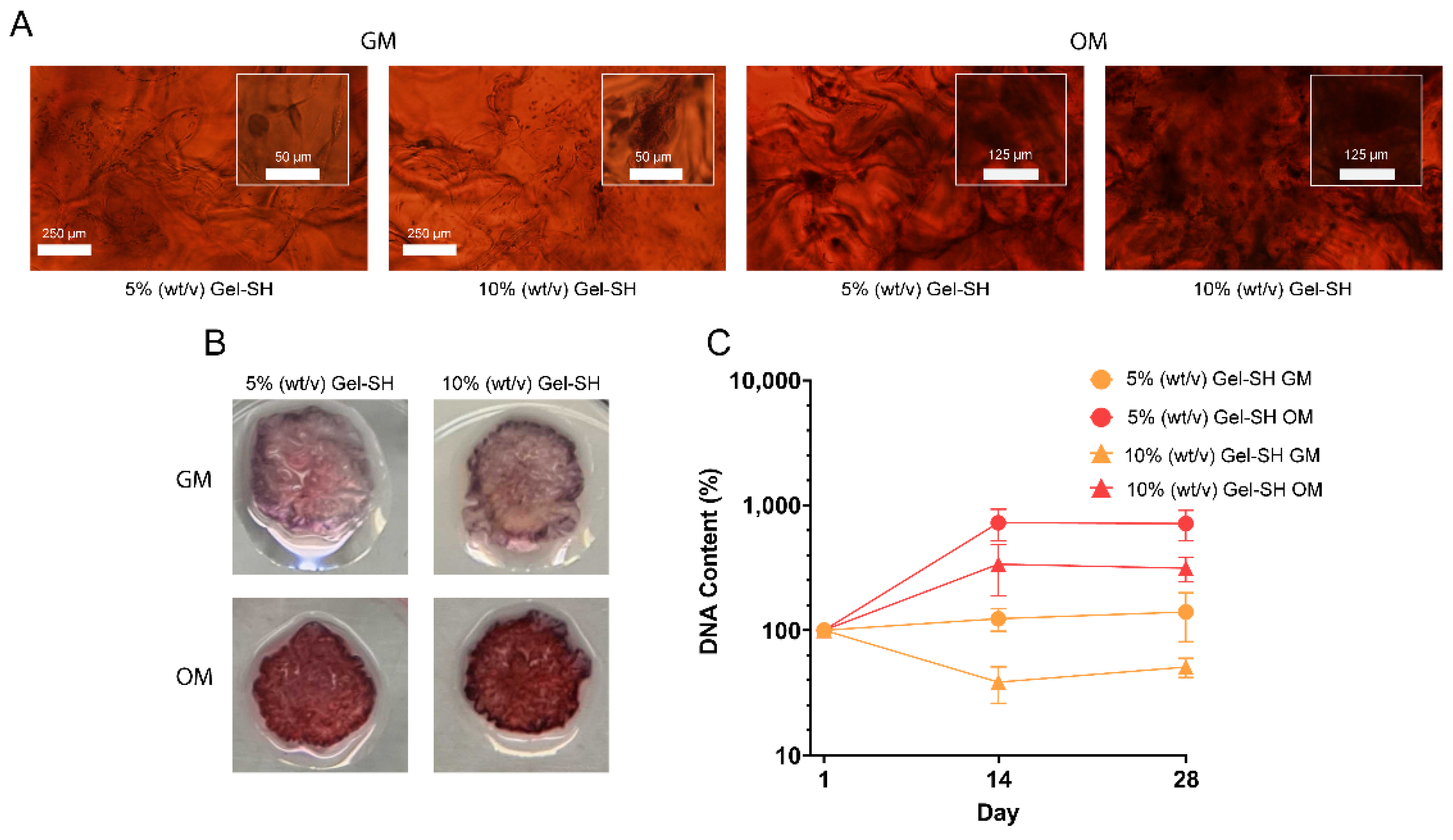 Gels 08 00821 g008 Gels 08 00821 g008