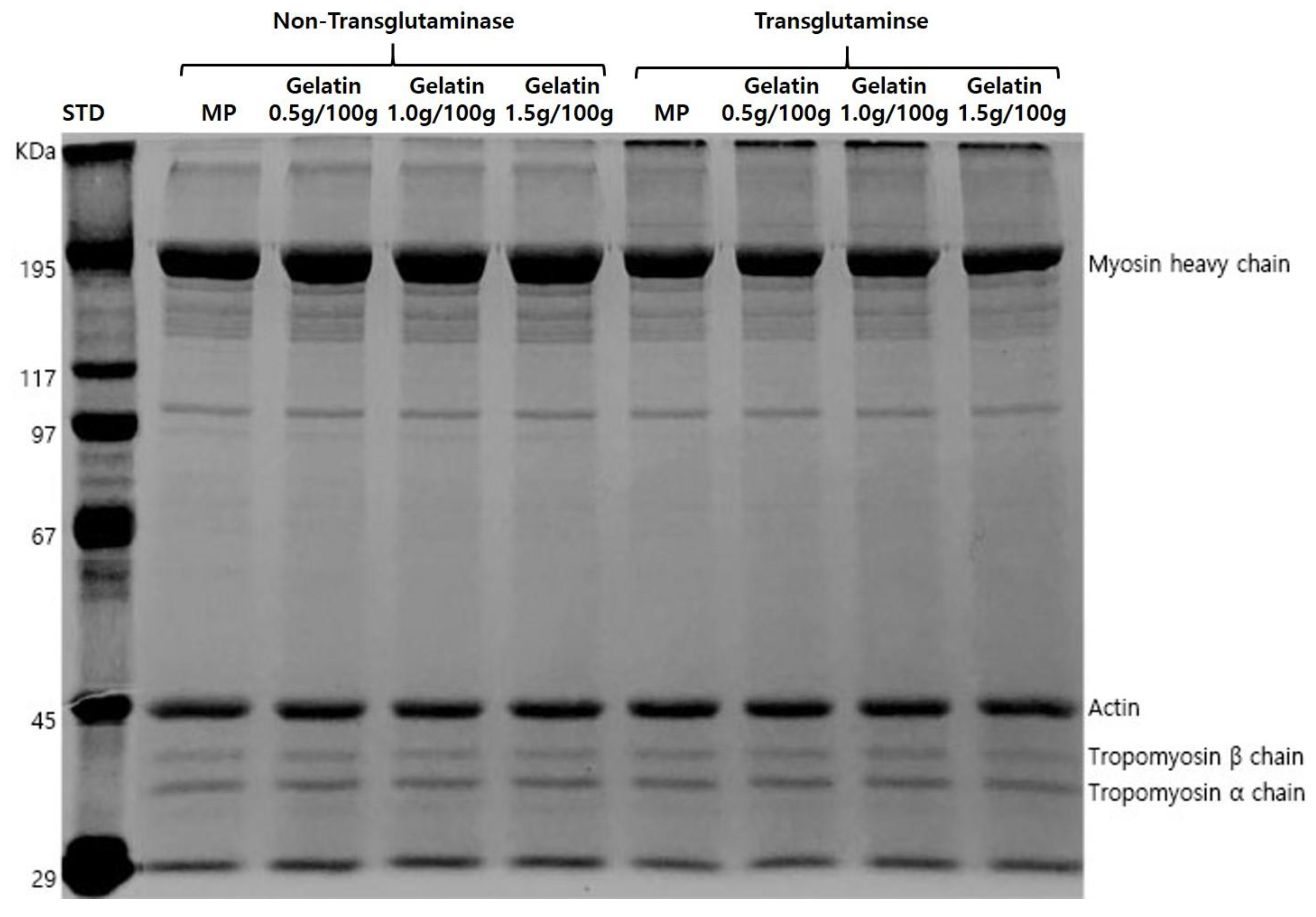Gels 08 00822 g002 Gels 08 00822 g002