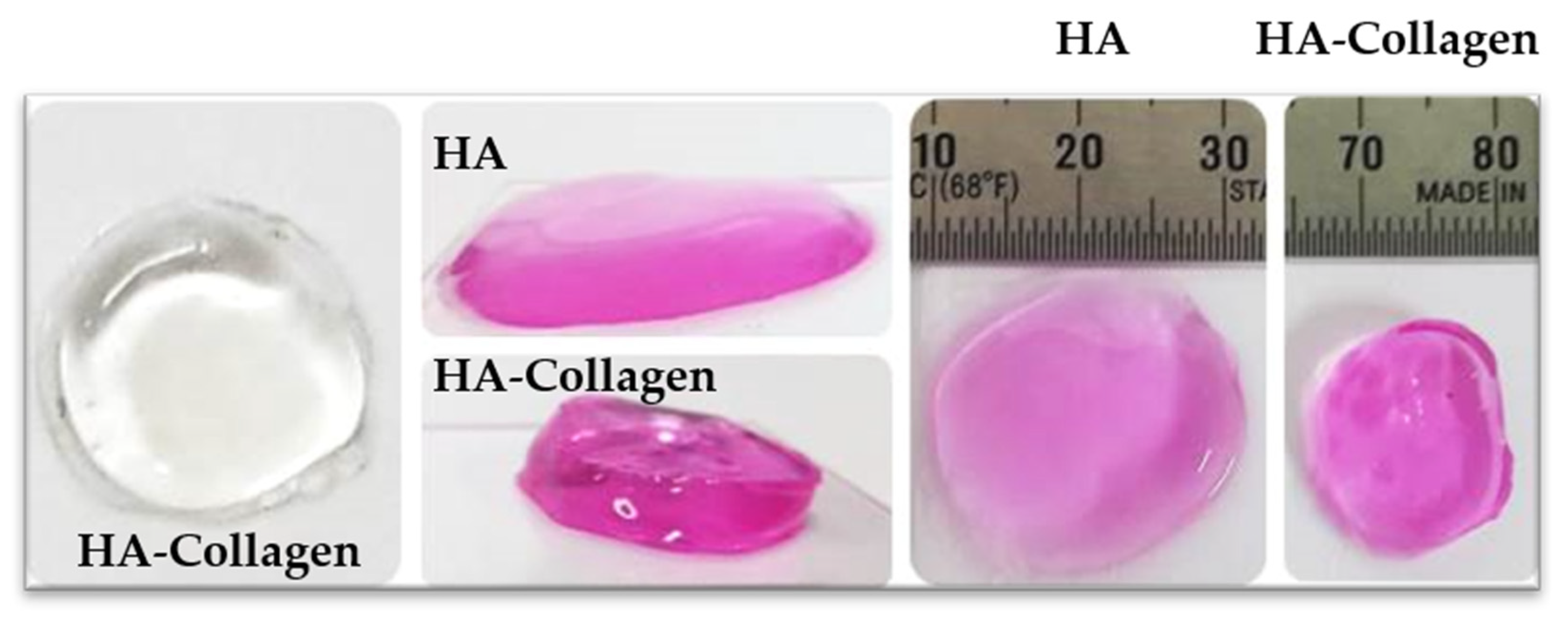 Gels 08 00825 g004