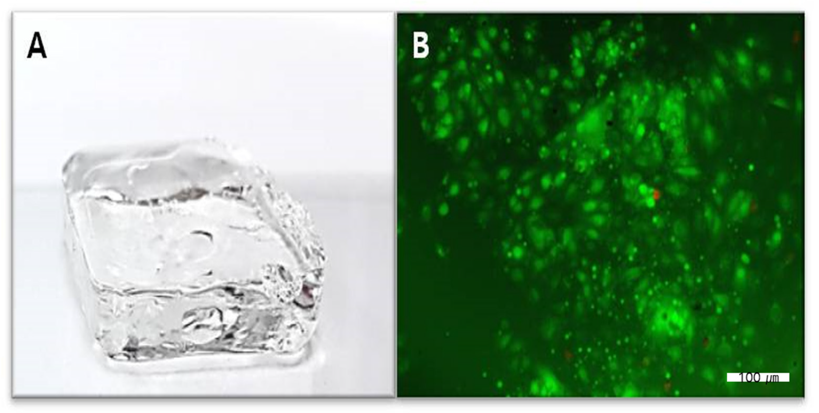Gels 08 00825 g008