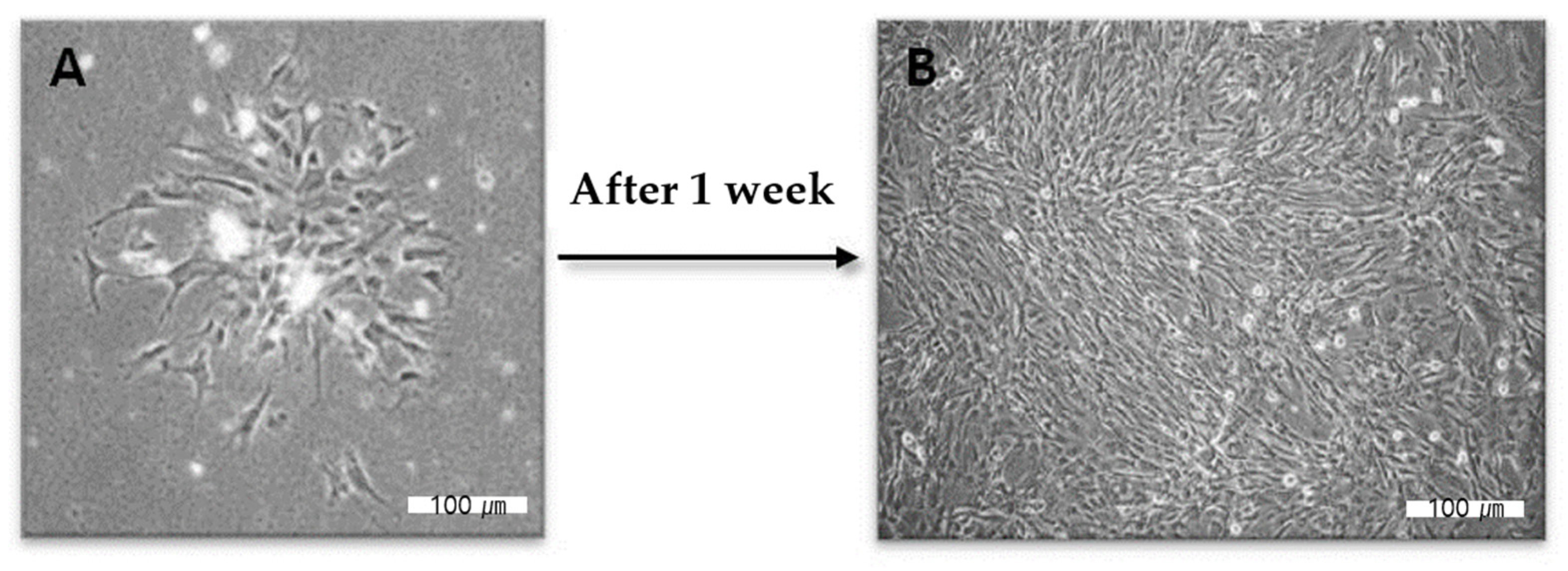 Gels 08 00825 g014