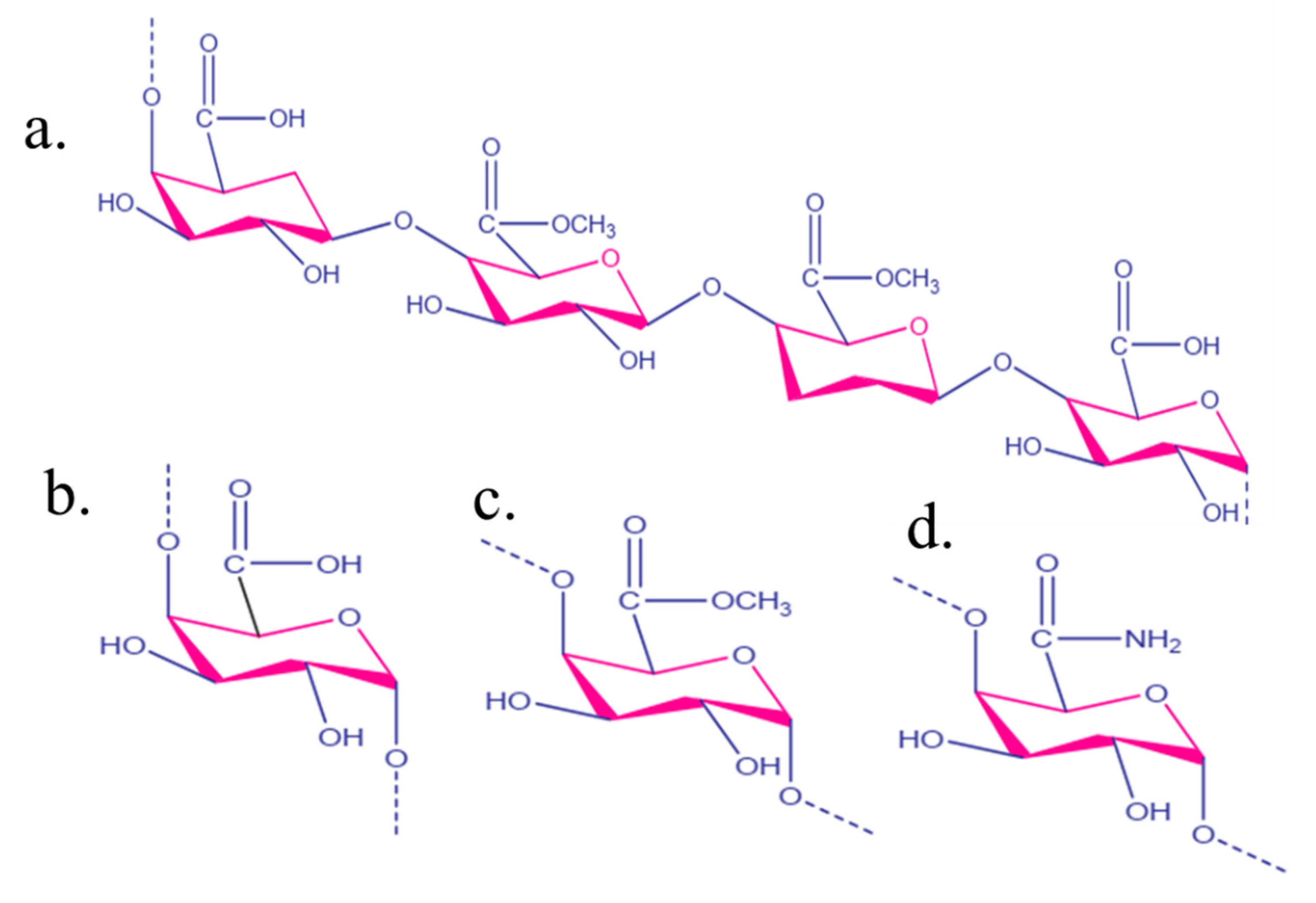 Gels 08 00834 g001 Gels 08 00834 g001