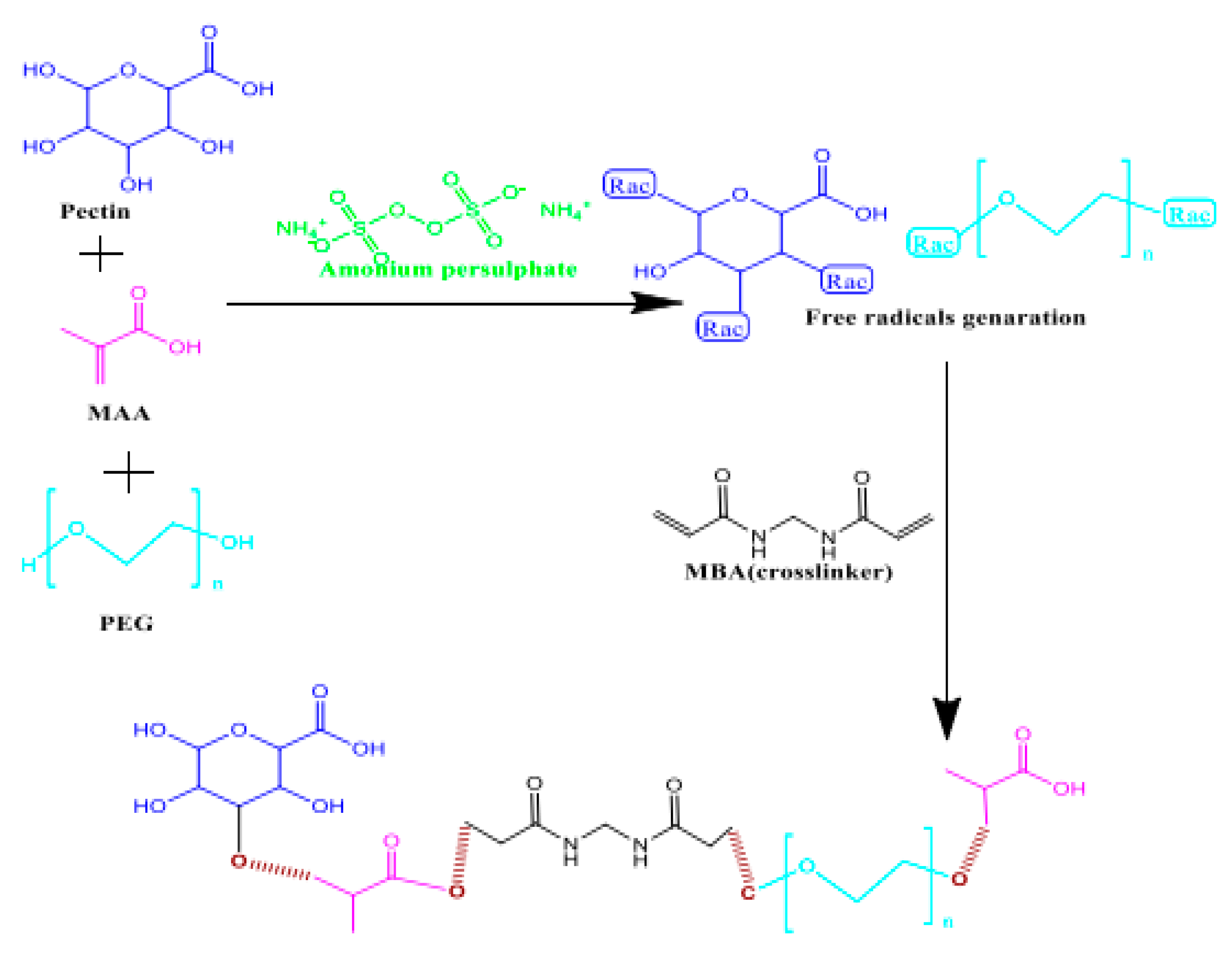 Gels 08 00834 g003 Gels 08 00834 g003