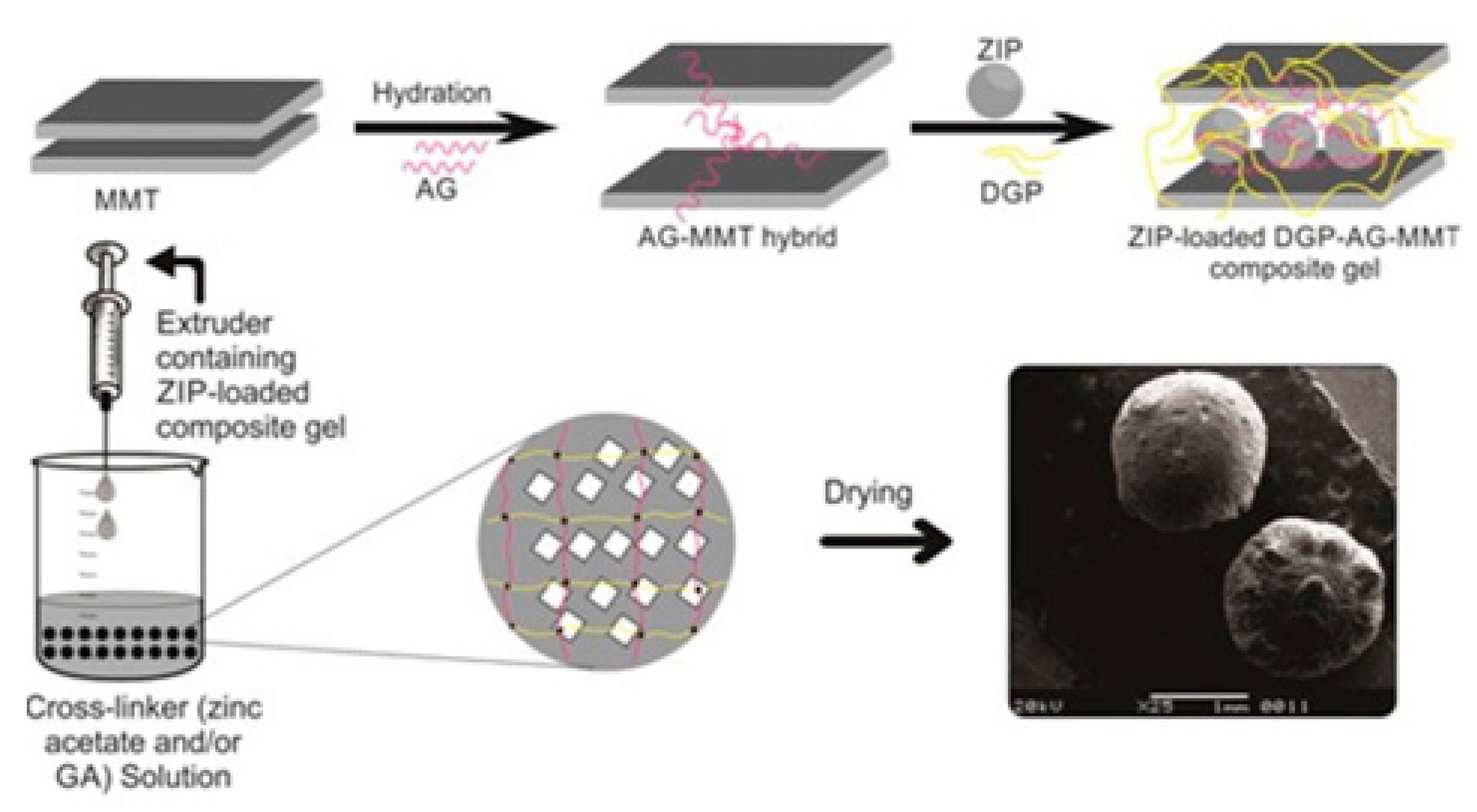 Gels 08 00834 g005 Gels 08 00834 g005