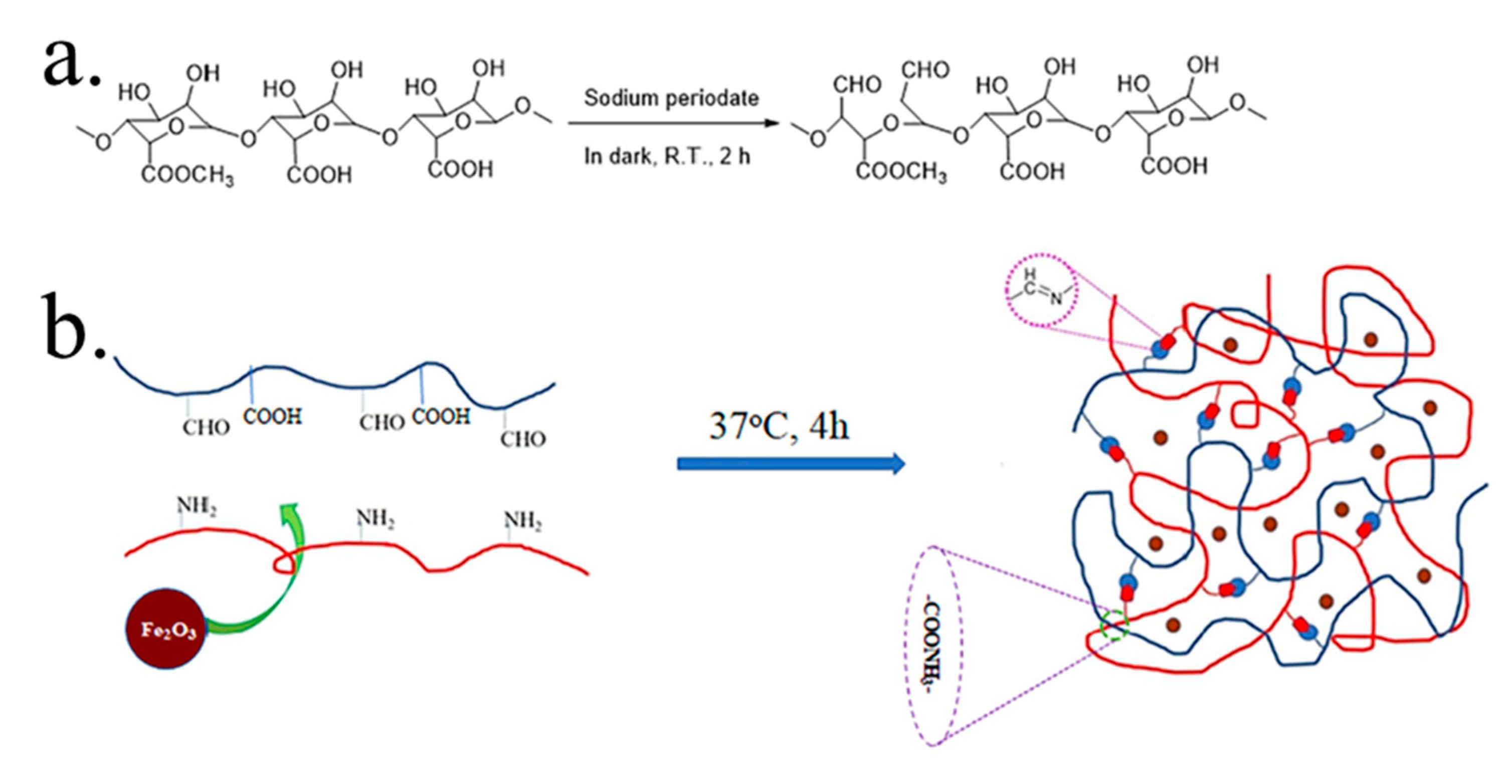 Gels 08 00834 g006 Gels 08 00834 g006