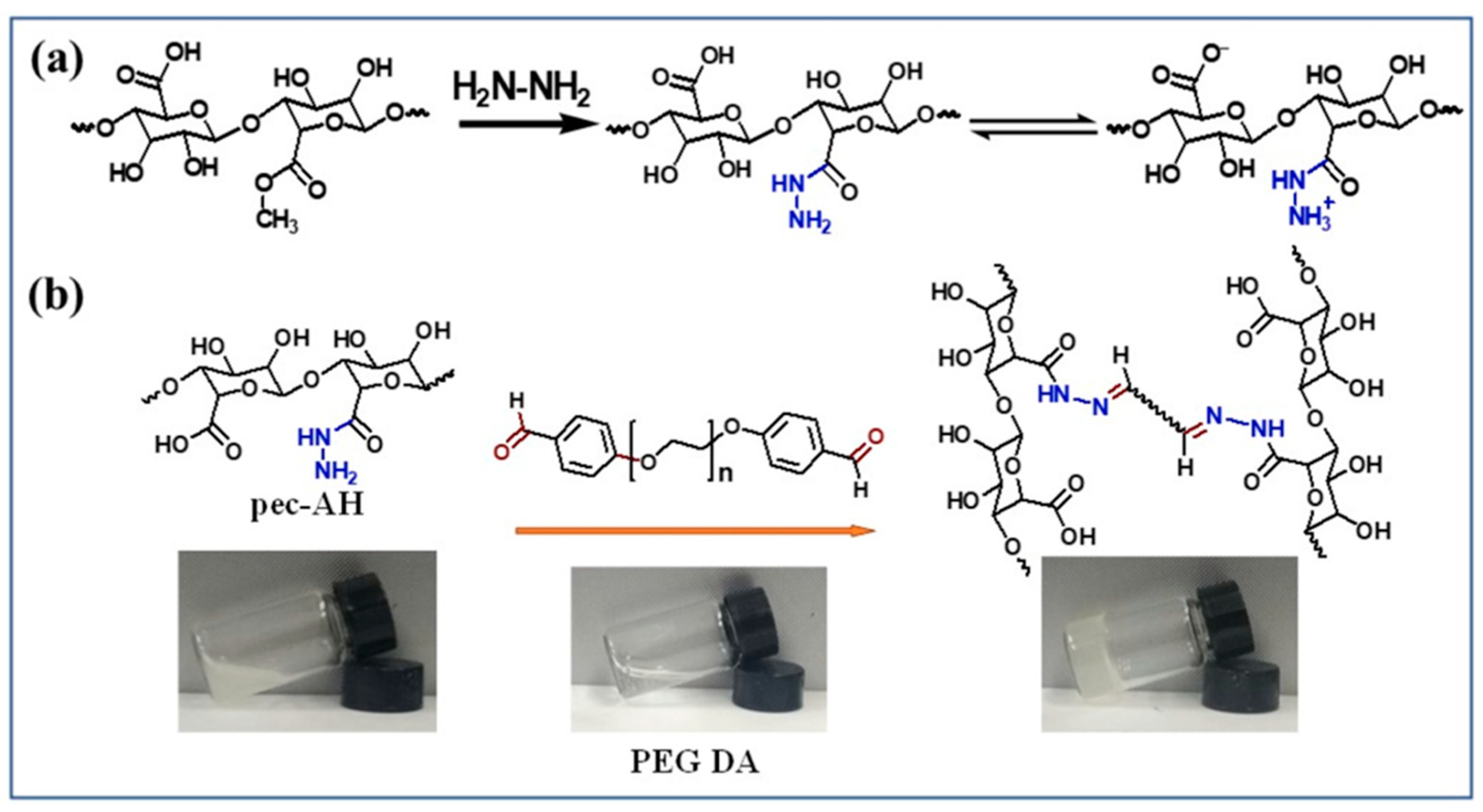 Gels 08 00834 g009 Gels 08 00834 g009