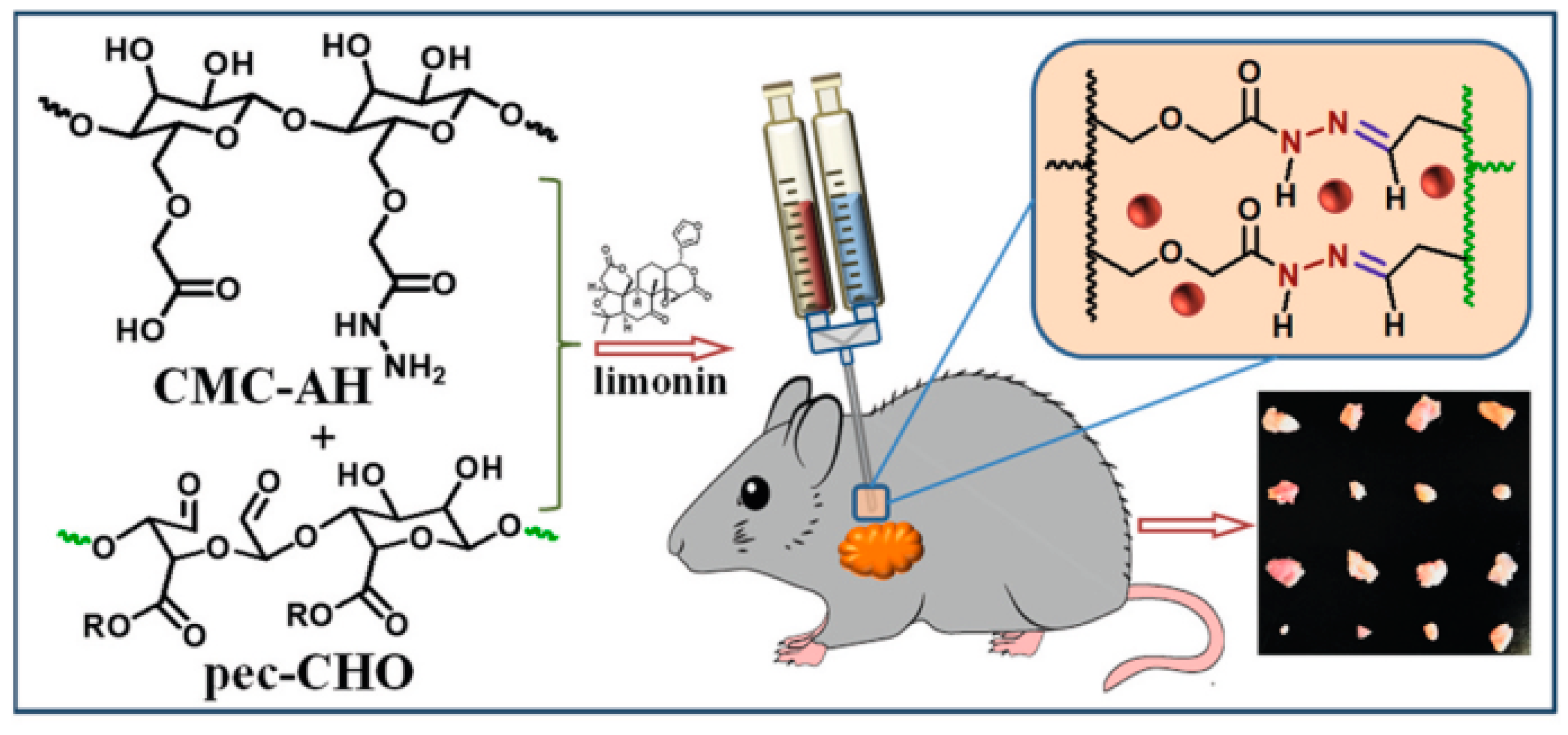 Gels 08 00834 g010 Gels 08 00834 g010