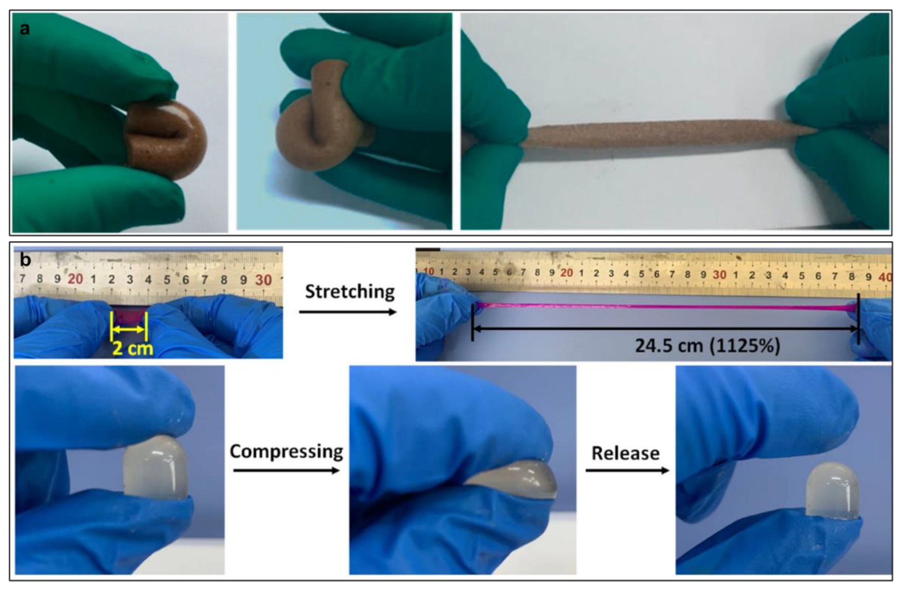 Gels 09 00012 g001 Gels 09 00012 g001