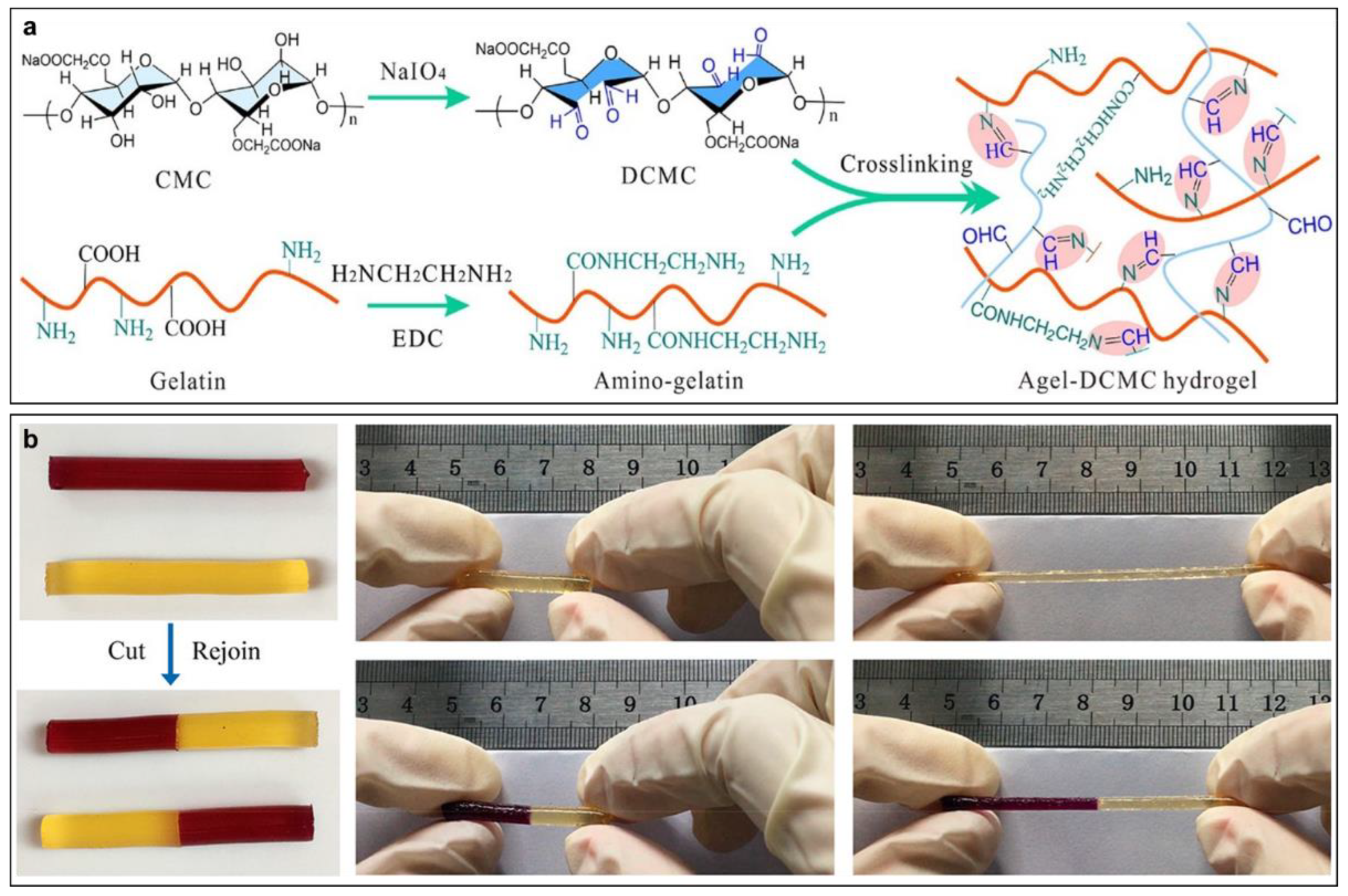 Gels 09 00012 g002 Gels 09 00012 g002