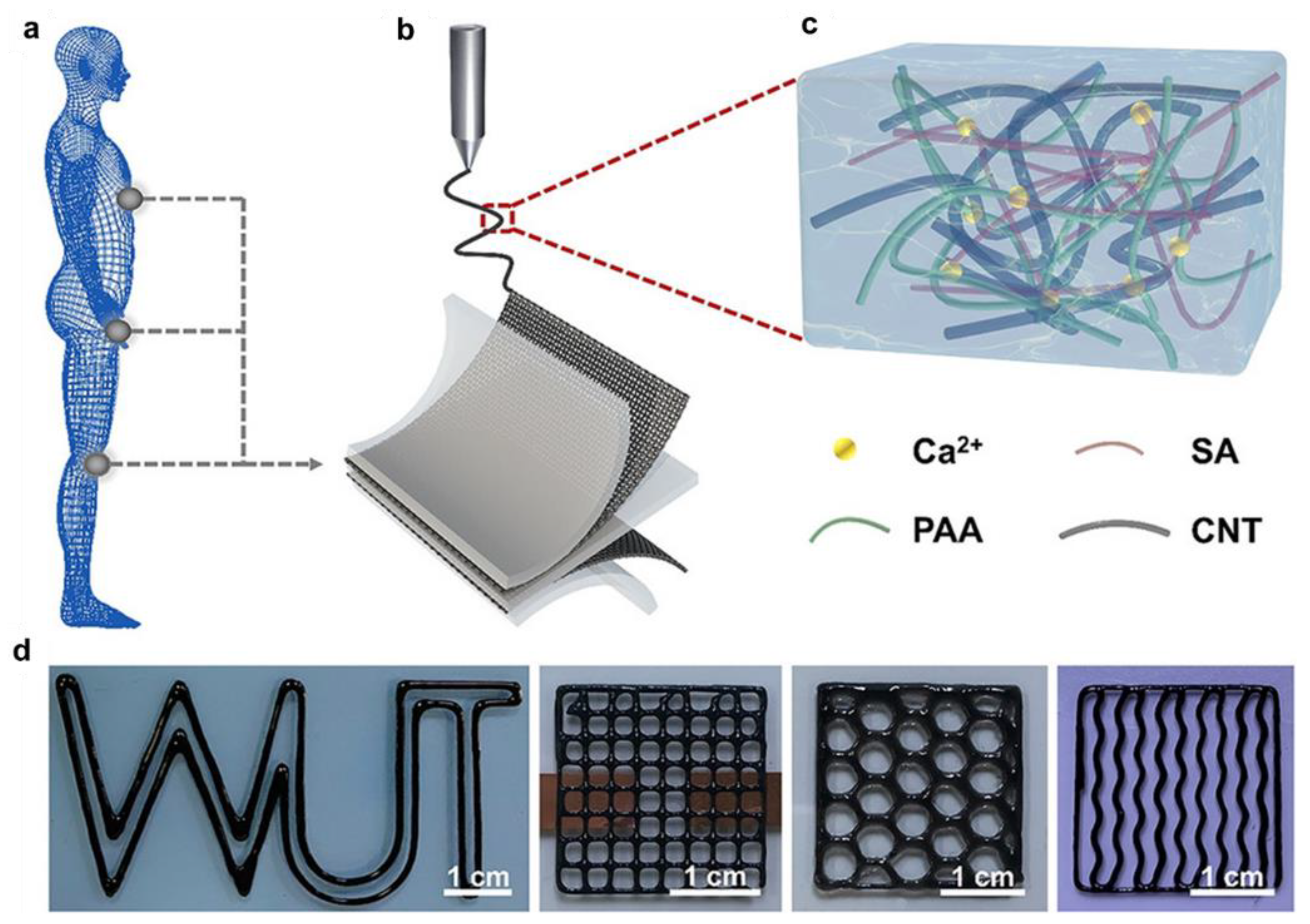 Gels 09 00012 g006 Gels 09 00012 g006