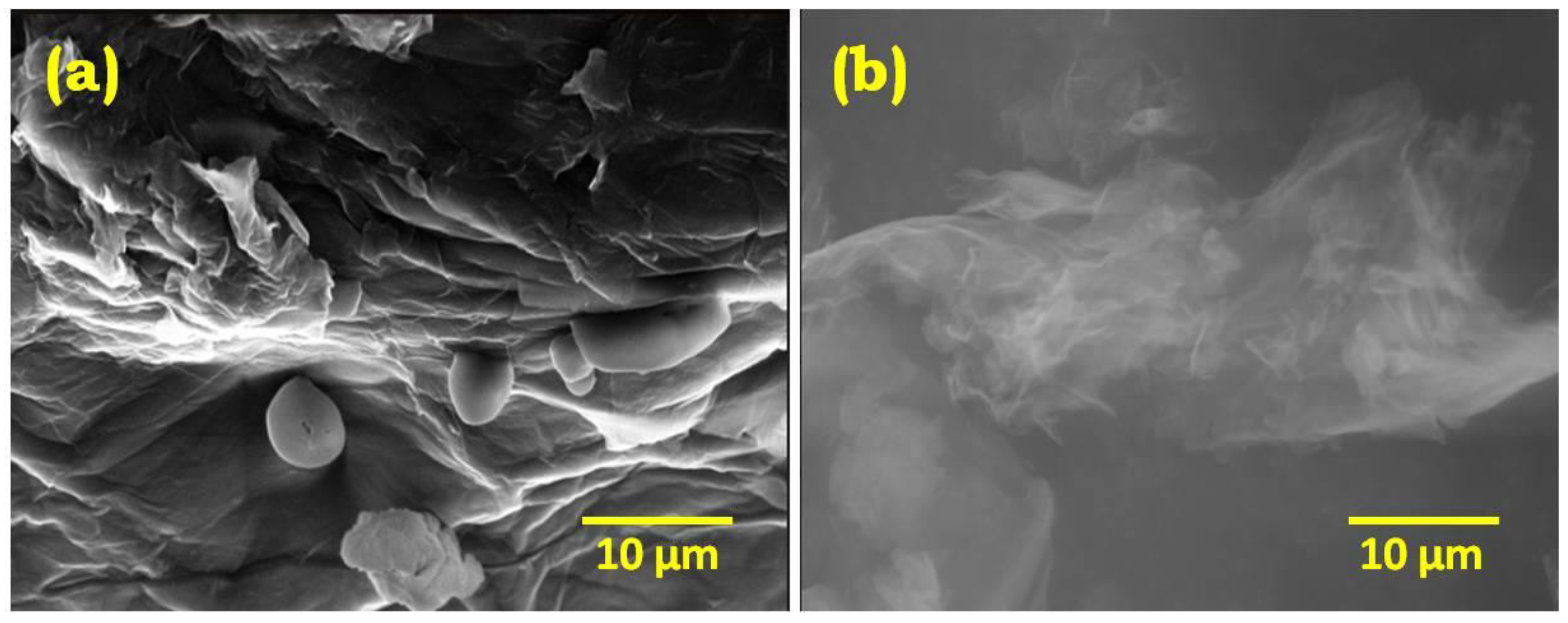 Gels 09 00022 g003 Gels 09 00022 g003