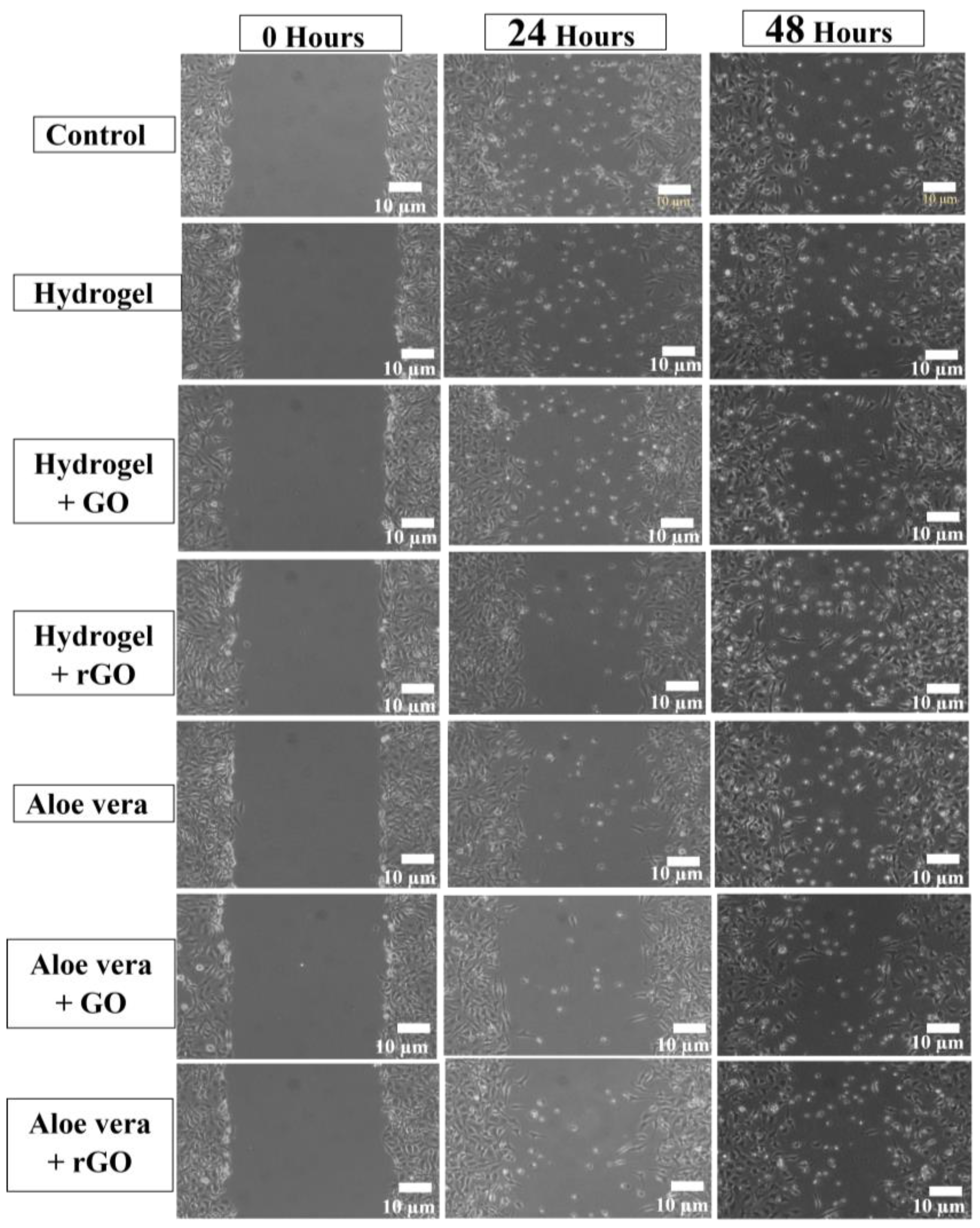 Gels 09 00022 g014 Gels 09 00022 g014