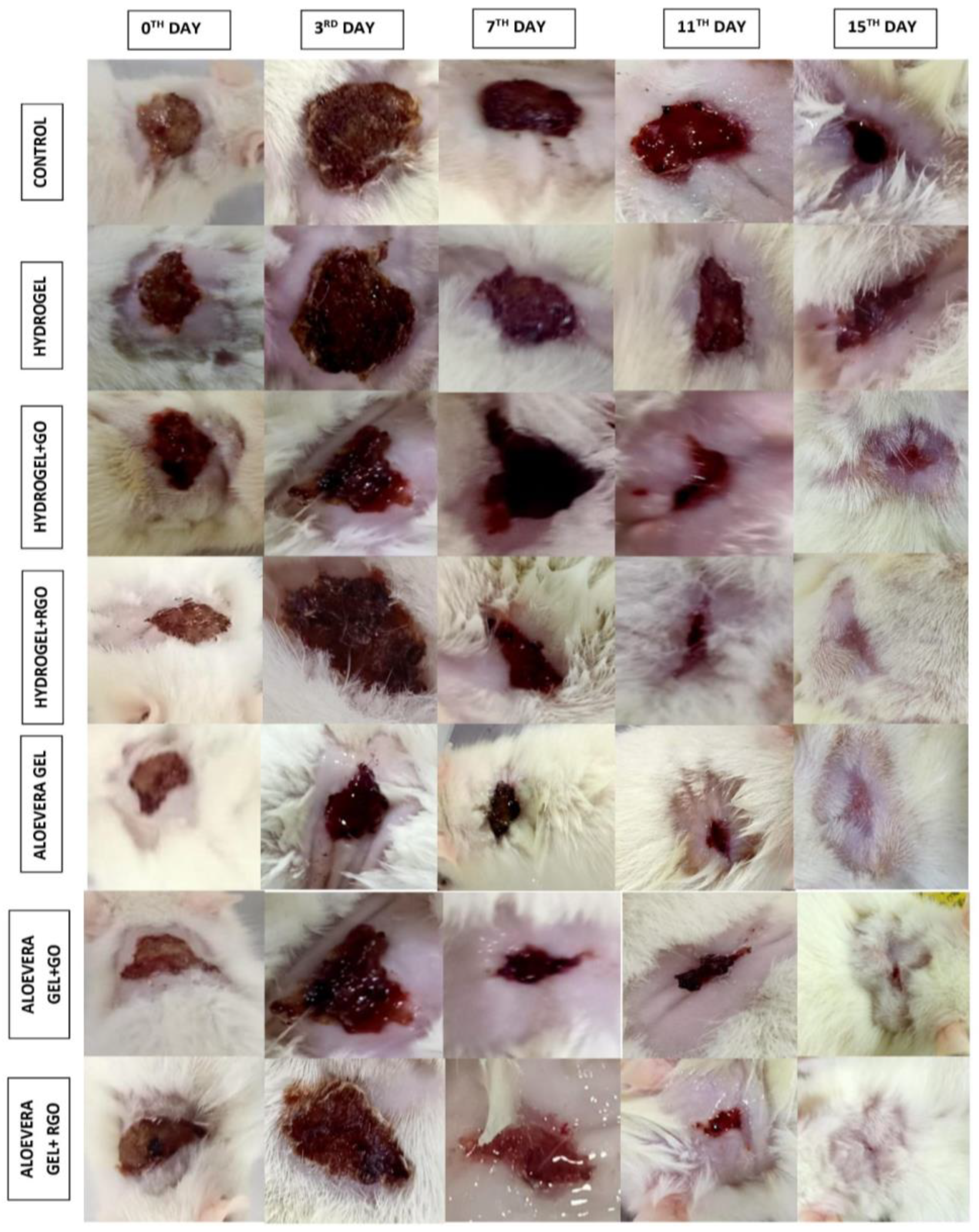 Gels 09 00022 g015 Gels 09 00022 g015