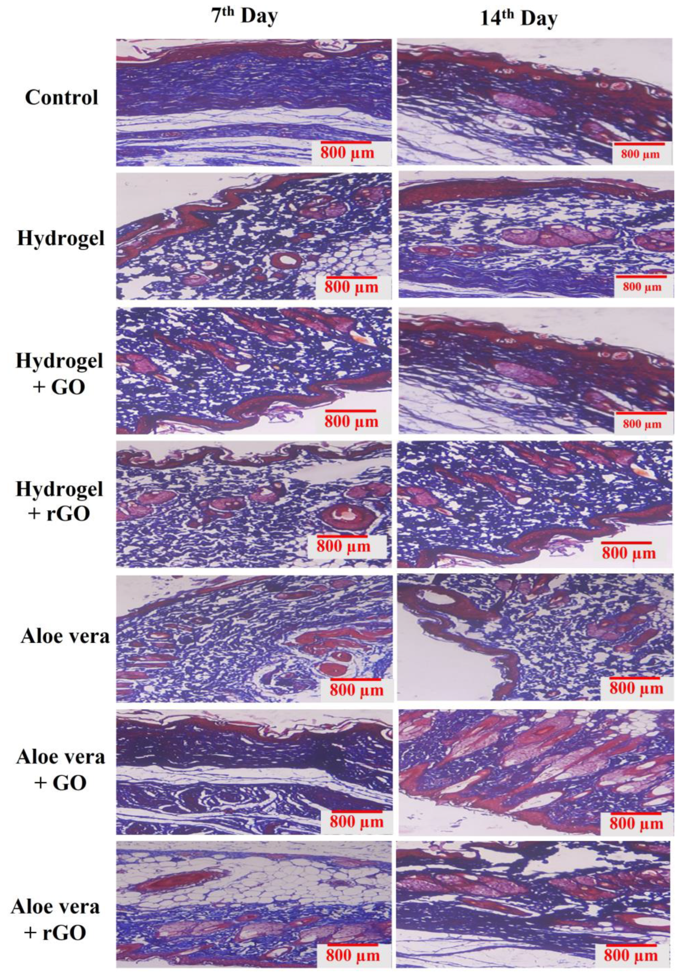 Gels 09 00022 g018 Gels 09 00022 g018