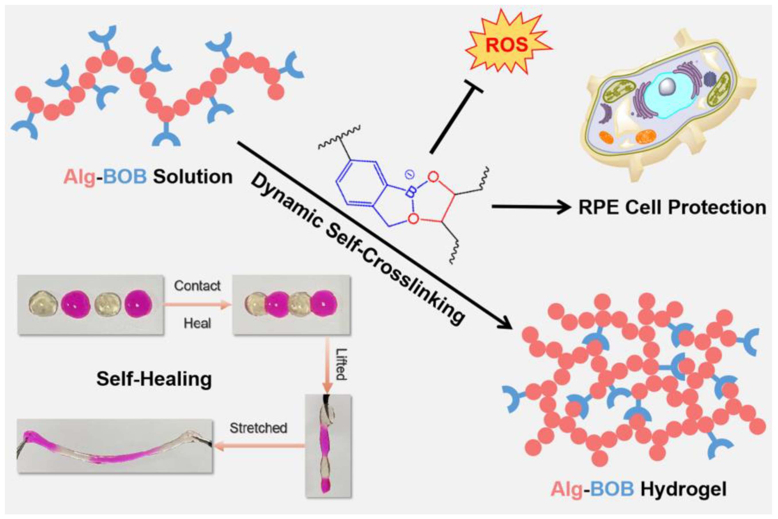 Gels 09 00024 sch001