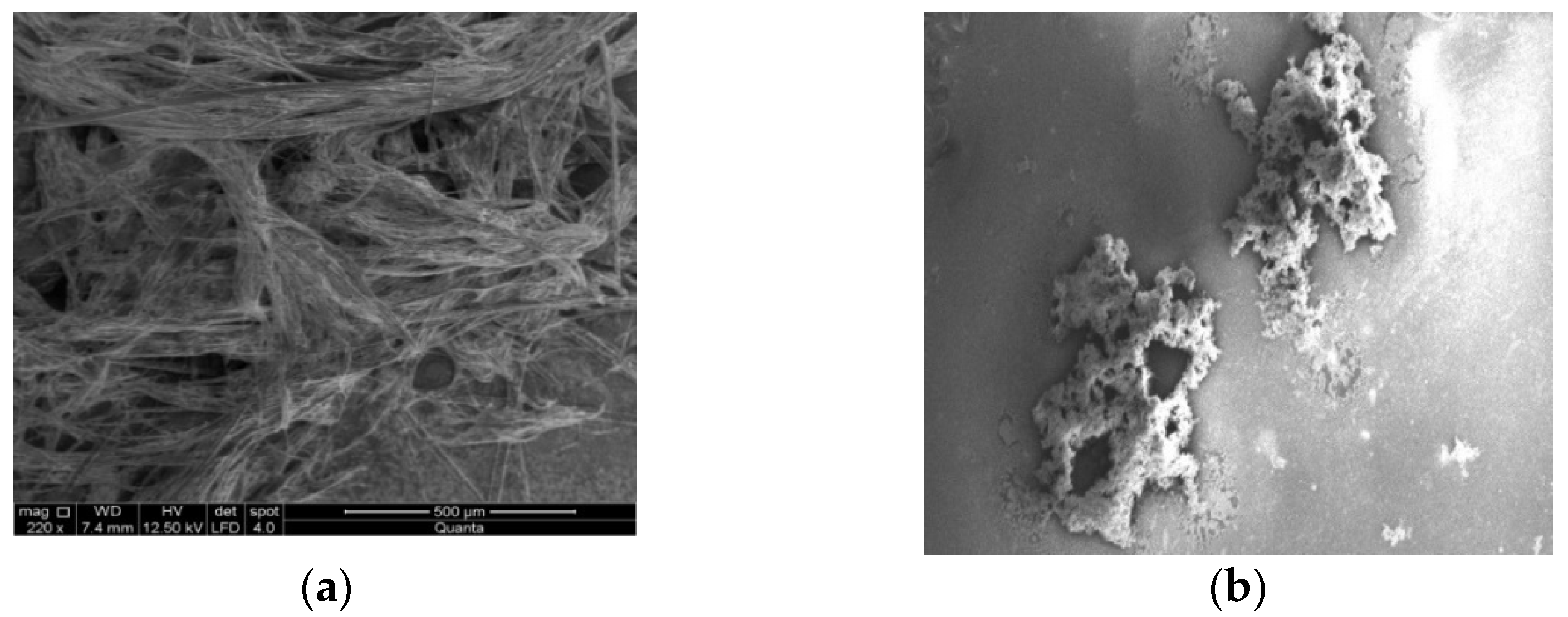 Gels 09 00026 g004 Gels 09 00026 g004