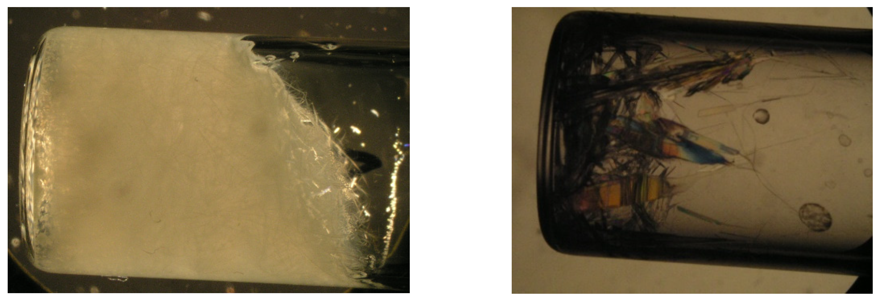 Gels 09 00026 g008 Gels 09 00026 g008