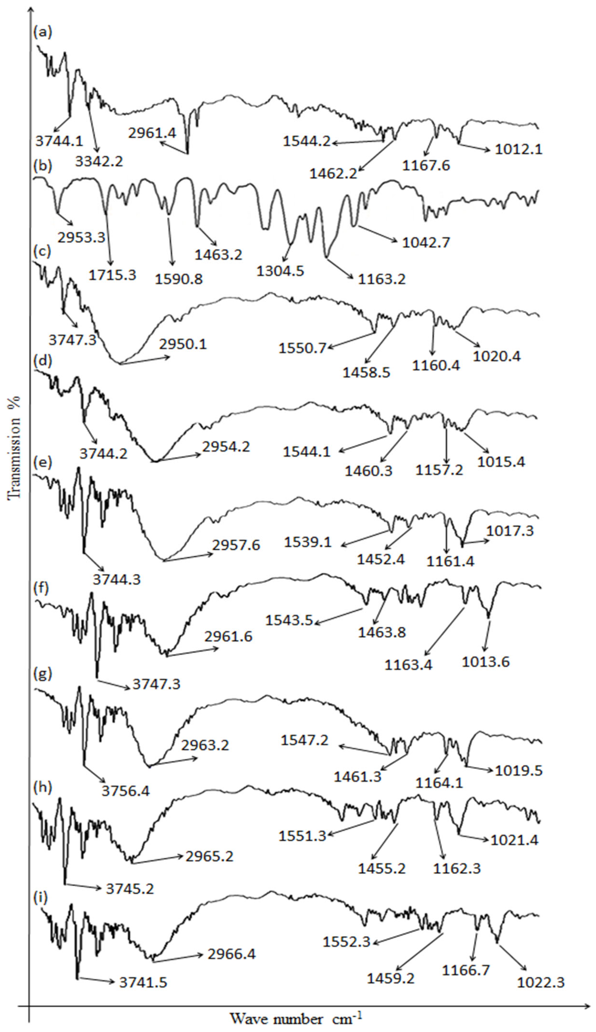 Gels 09 00043 g001 Gels 09 00043 g001