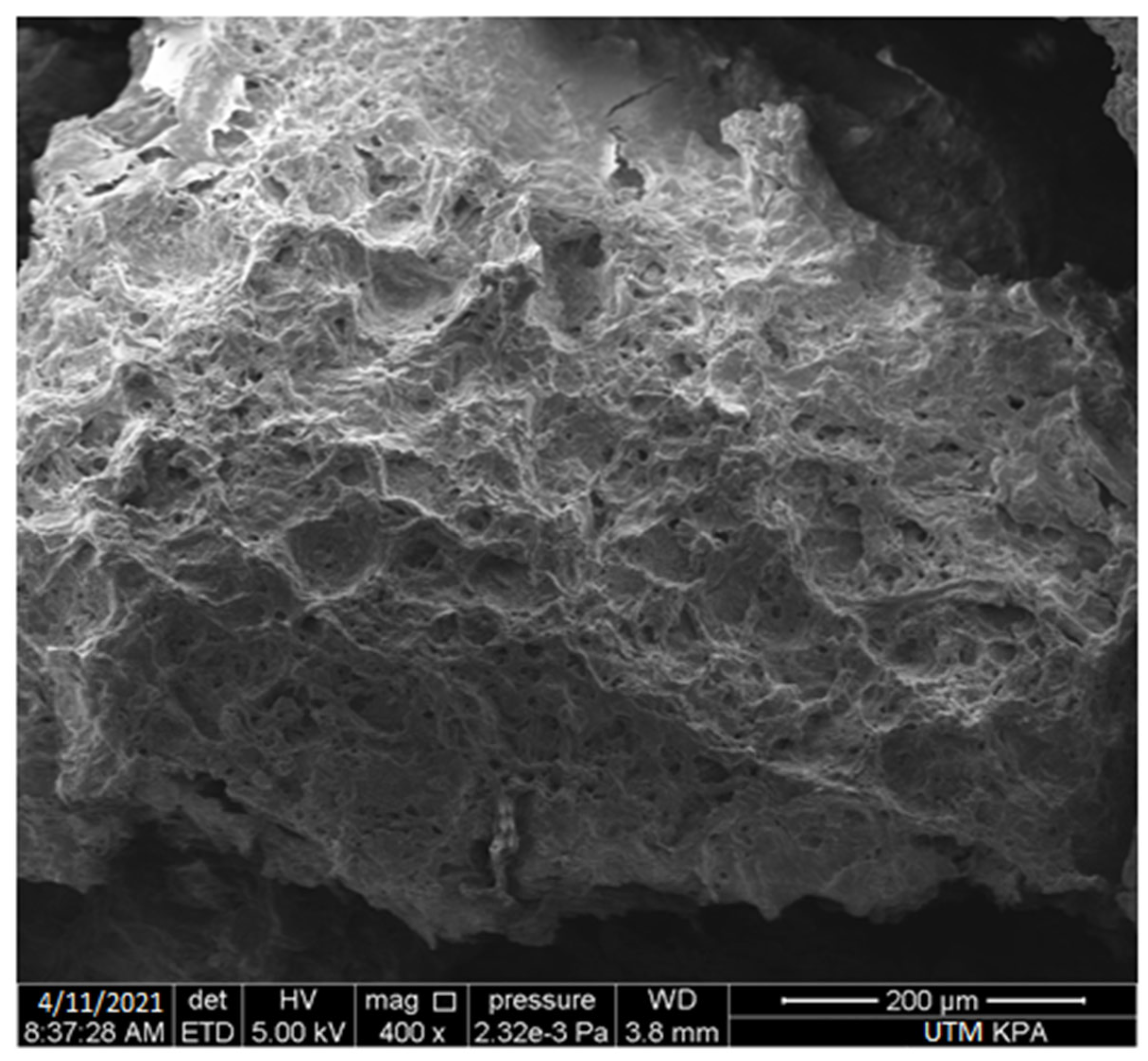 Gels 09 00043 g004 Gels 09 00043 g004