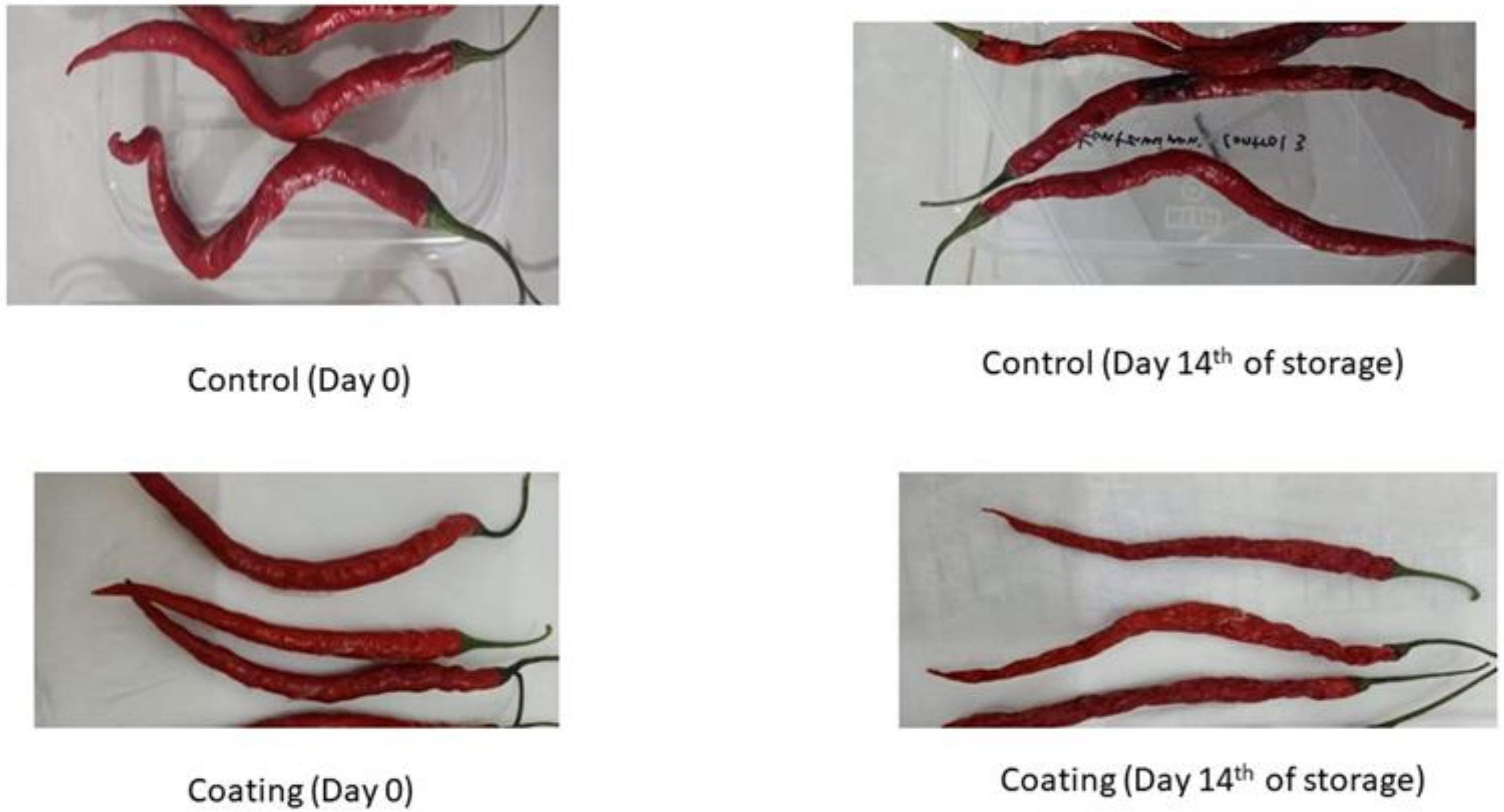 Gels 09 00049 g008 Gels 09 00049 g008