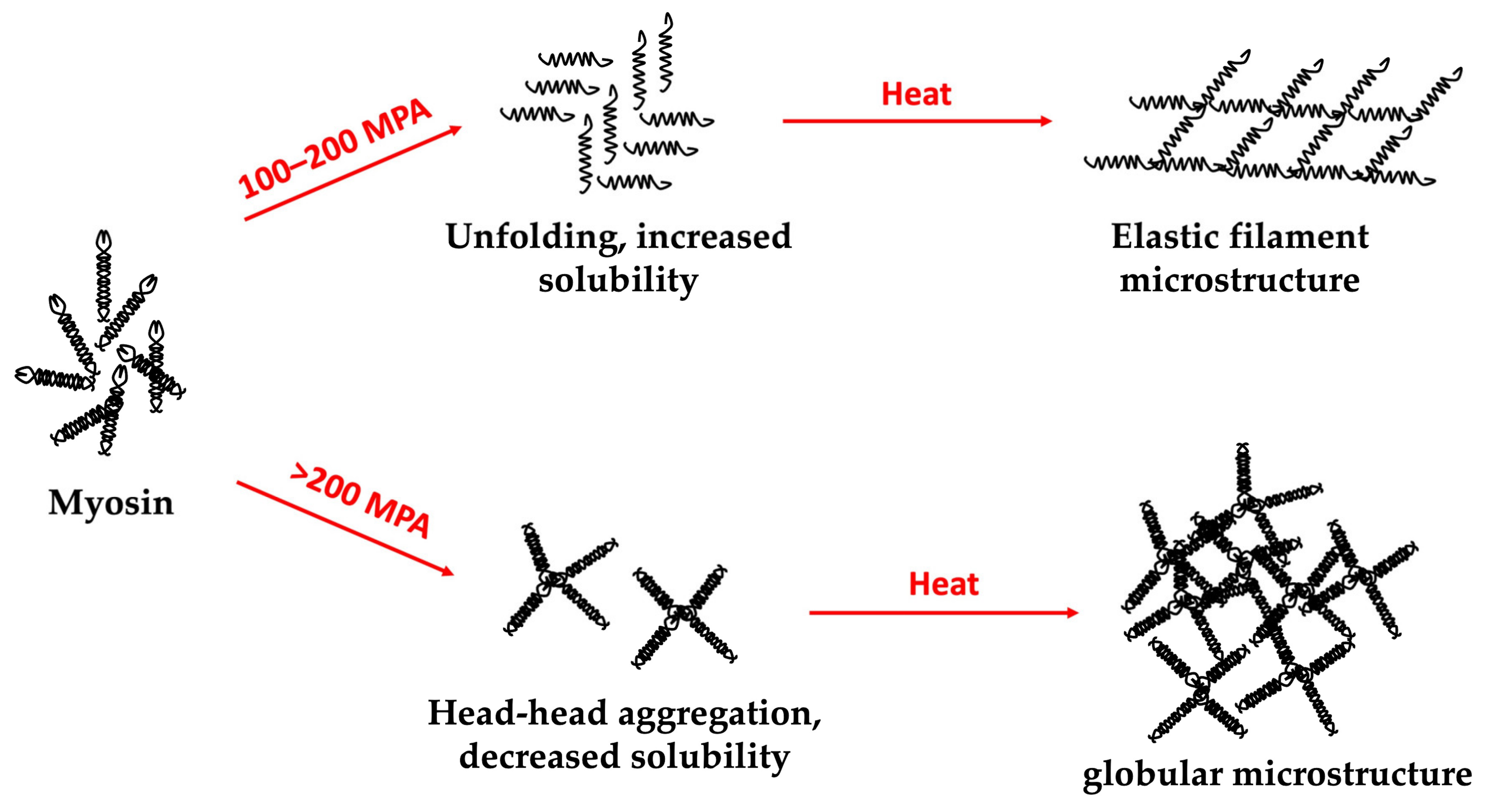 Gels 09 00068 g006 Gels 09 00068 g006