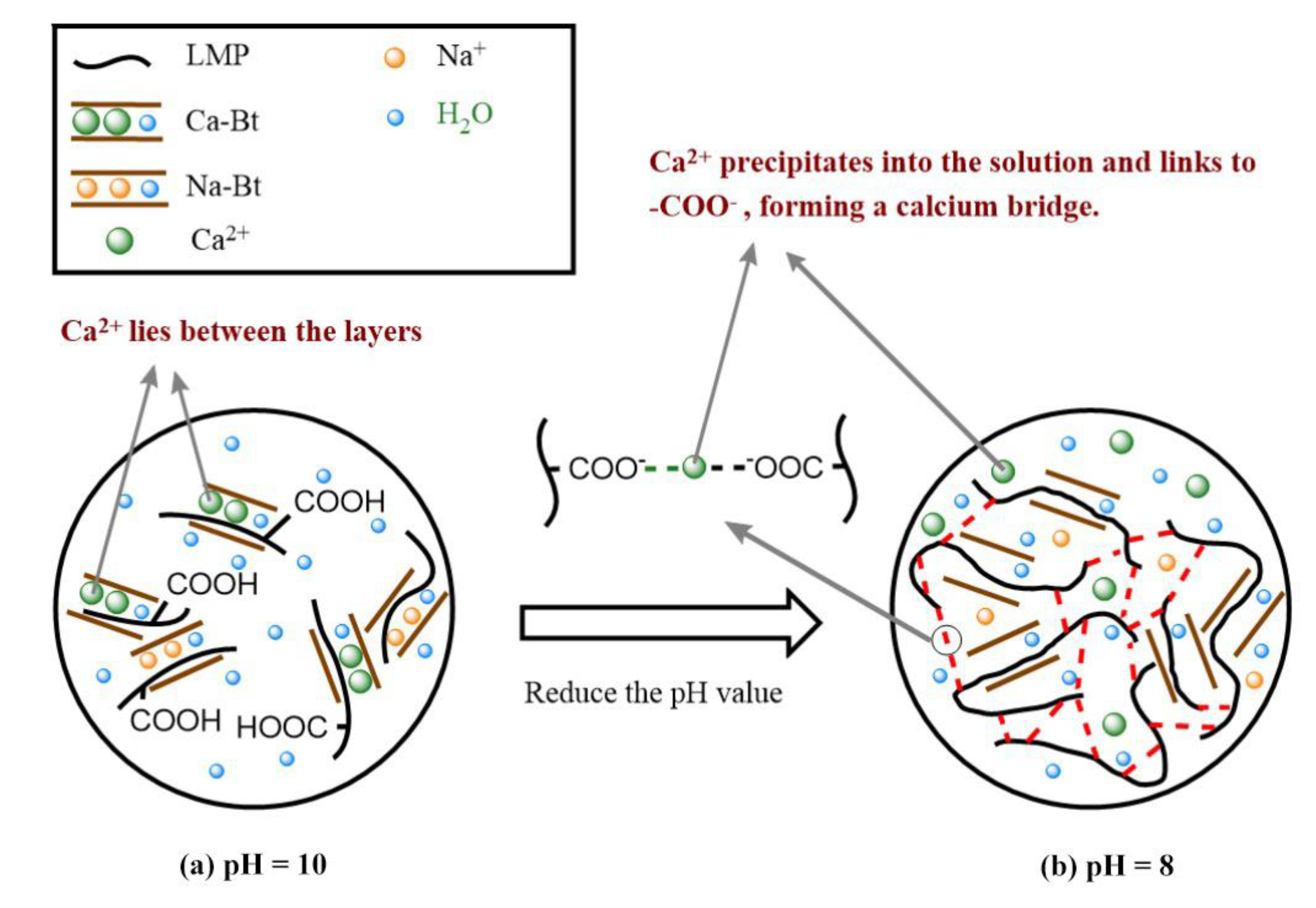 Gels 09 00069 g004 Gels 09 00069 g004