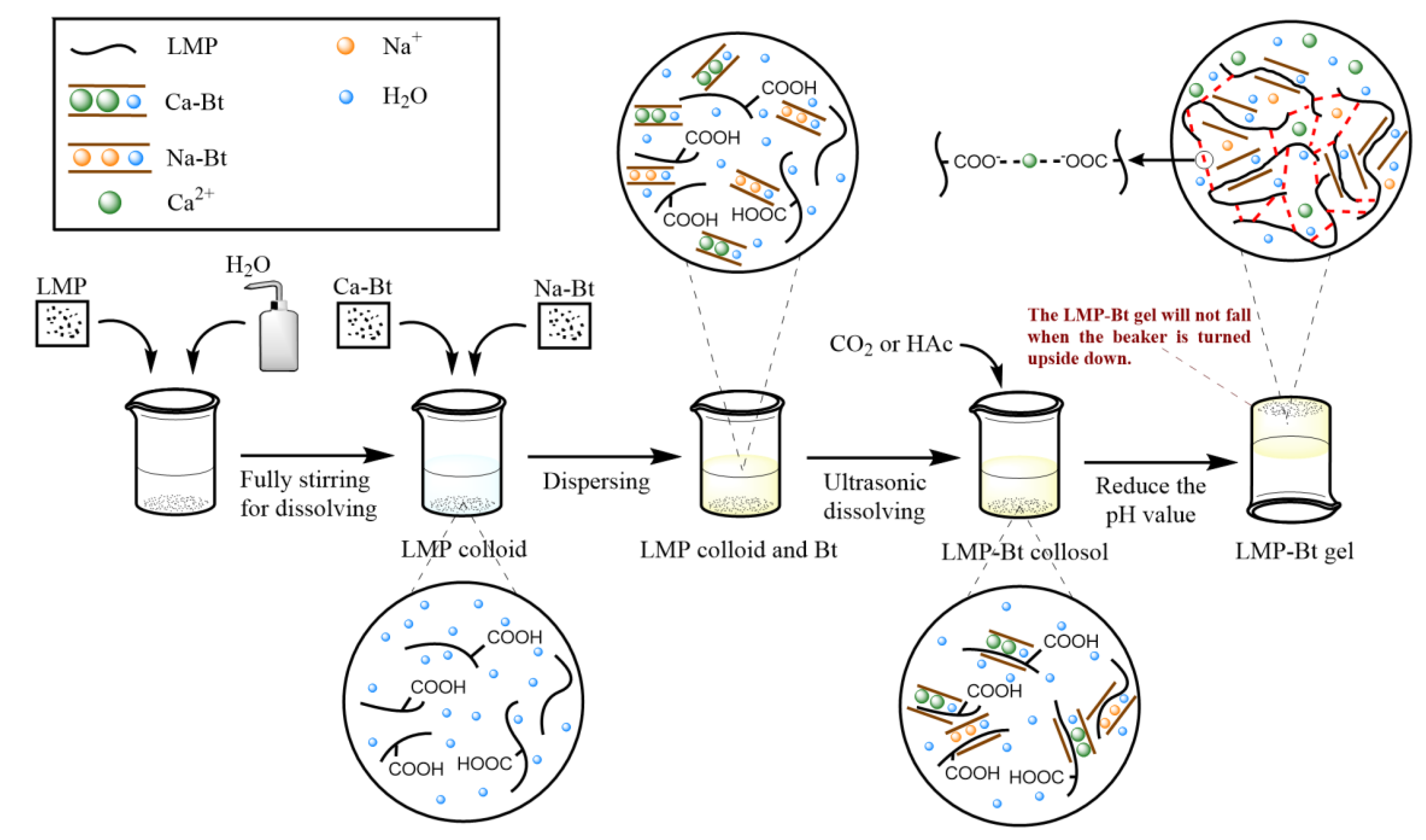 Gels 09 00069 g015 Gels 09 00069 g015