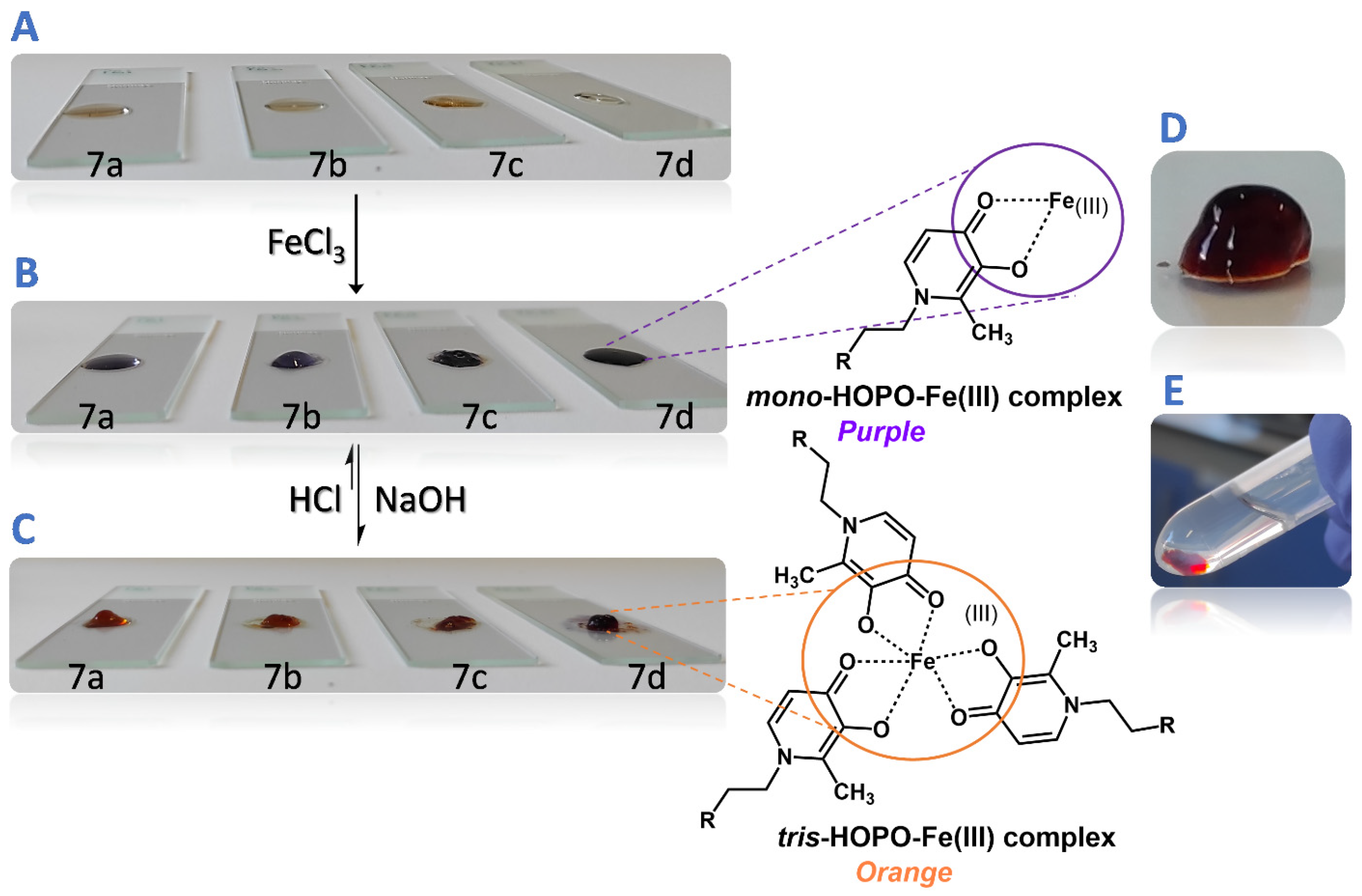 Gels 09 00085 g003 Gels 09 00085 g003