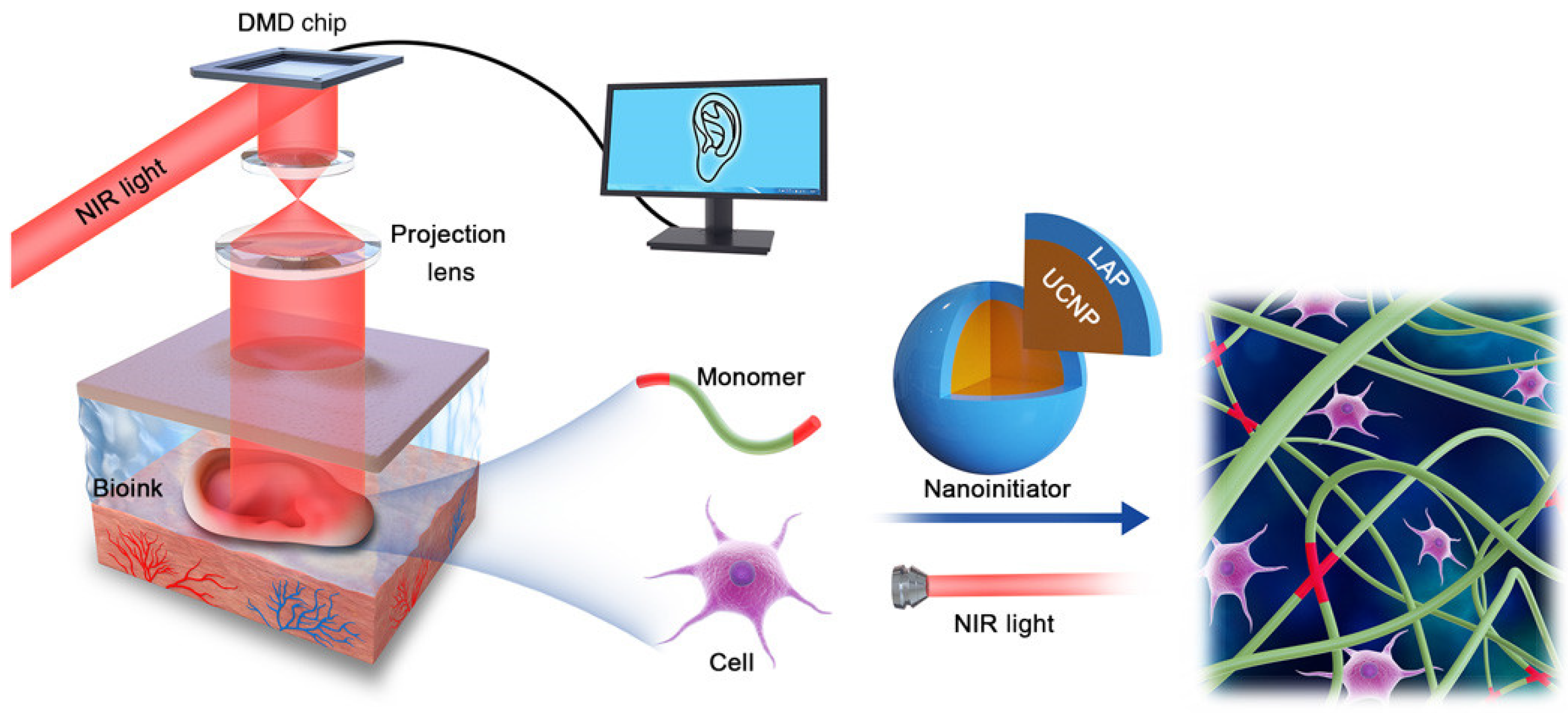 Gels 09 00088 g002 Gels 09 00088 g002
