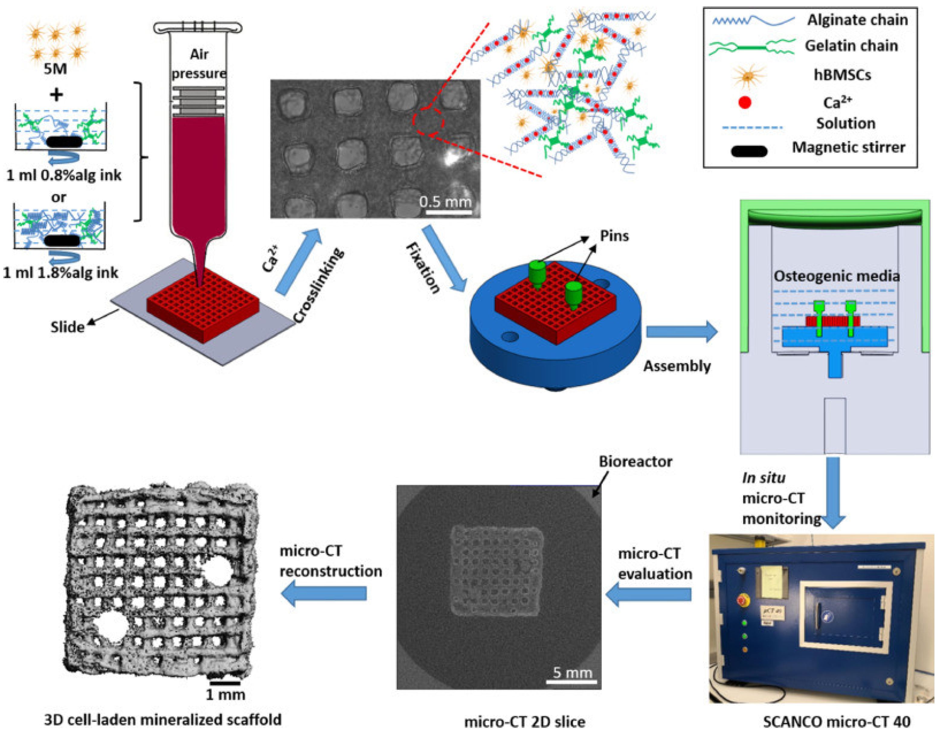 Gels 09 00088 g003 Gels 09 00088 g003