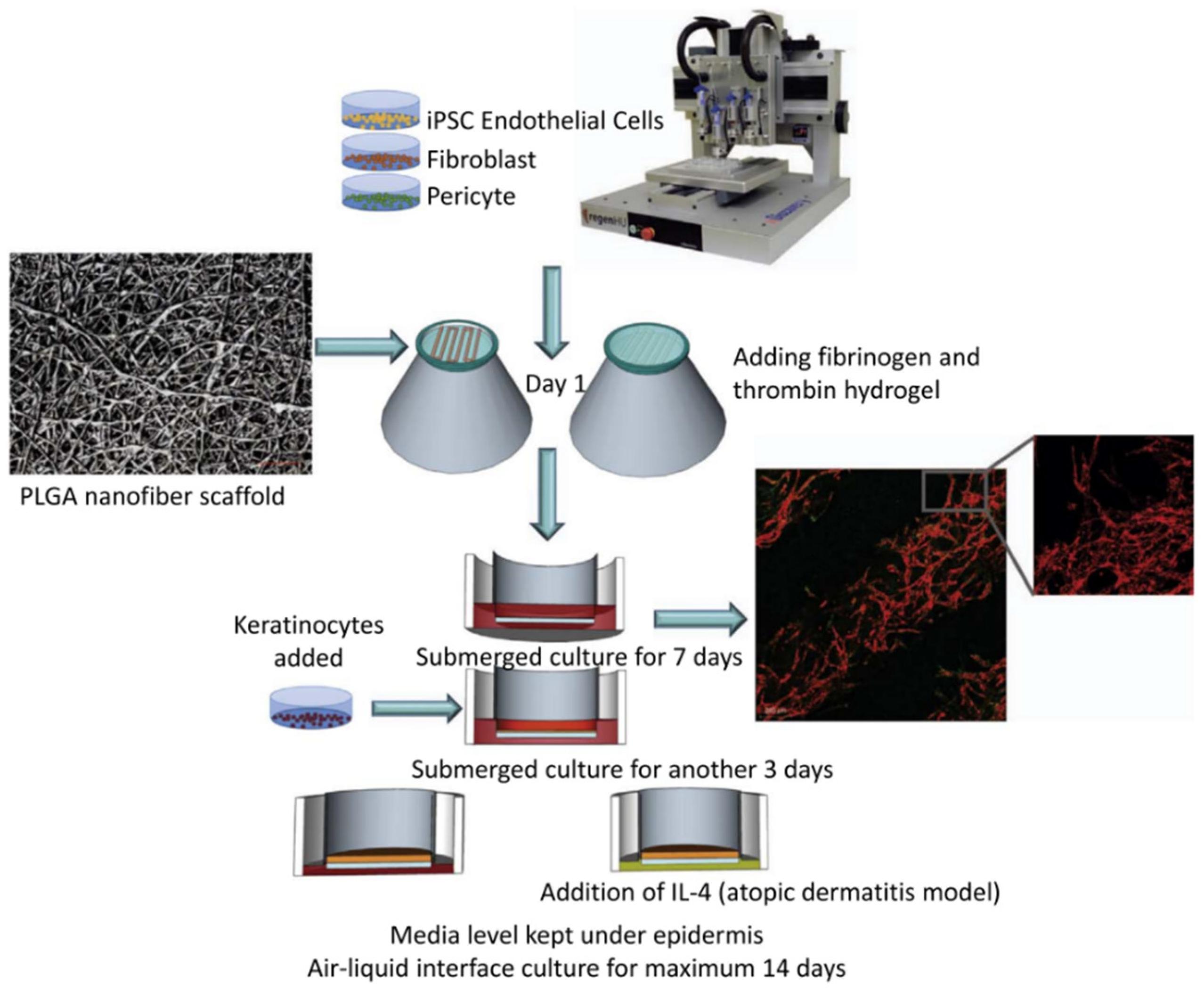 Gels 09 00088 g004 Gels 09 00088 g004