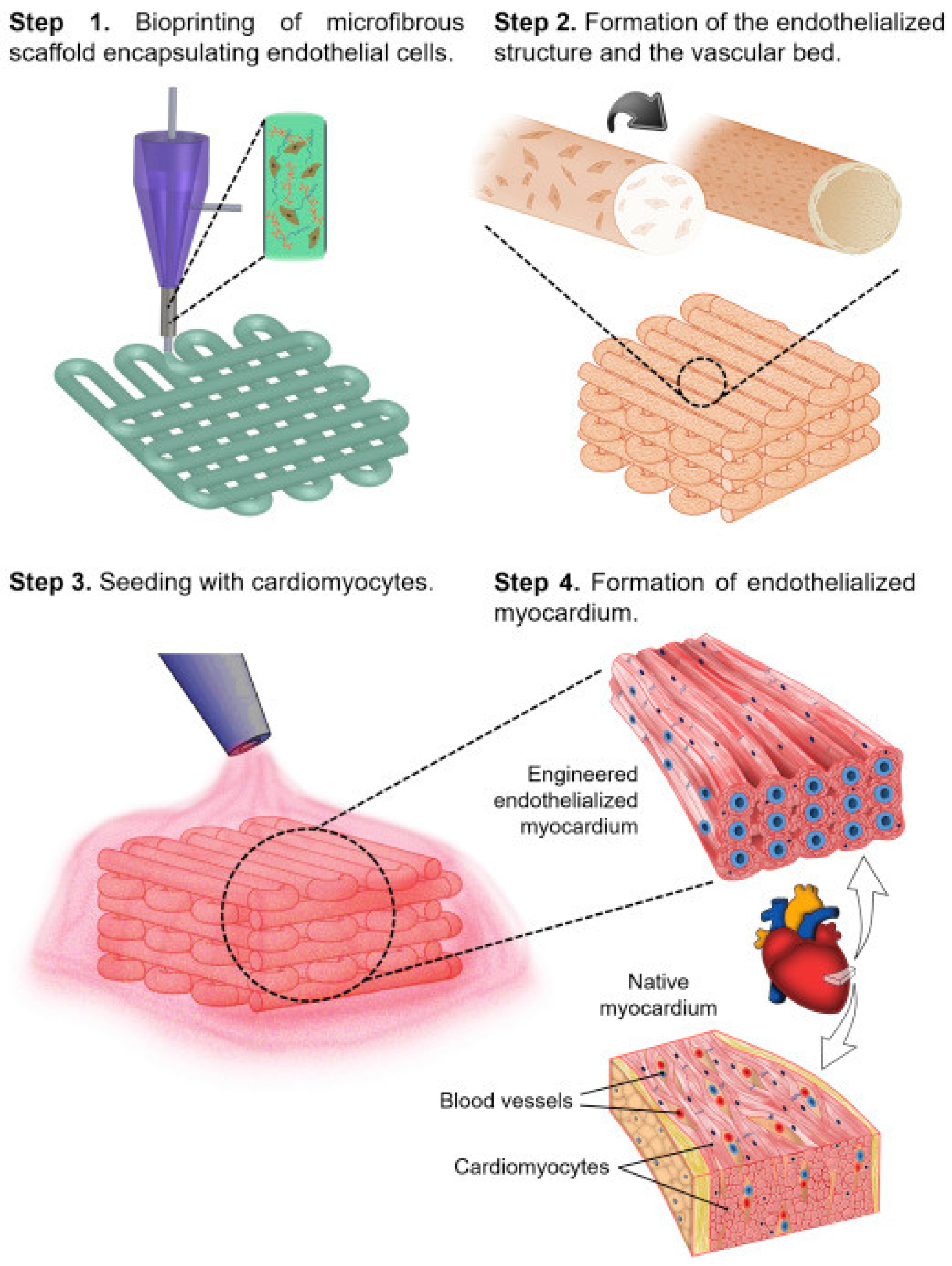 Gels 09 00088 g005 Gels 09 00088 g005
