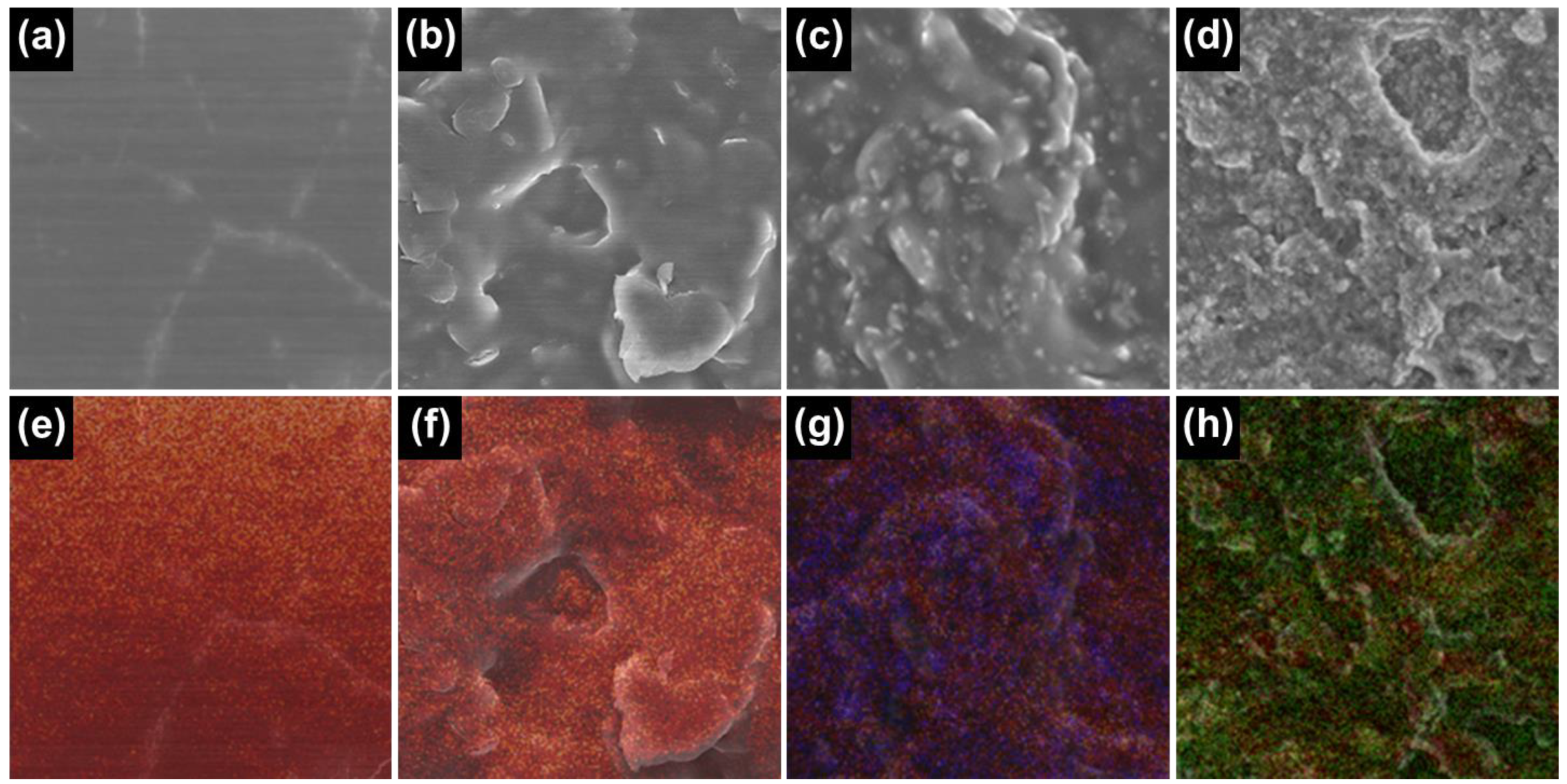 Gels 09 00097 g004 Gels 09 00097 g004