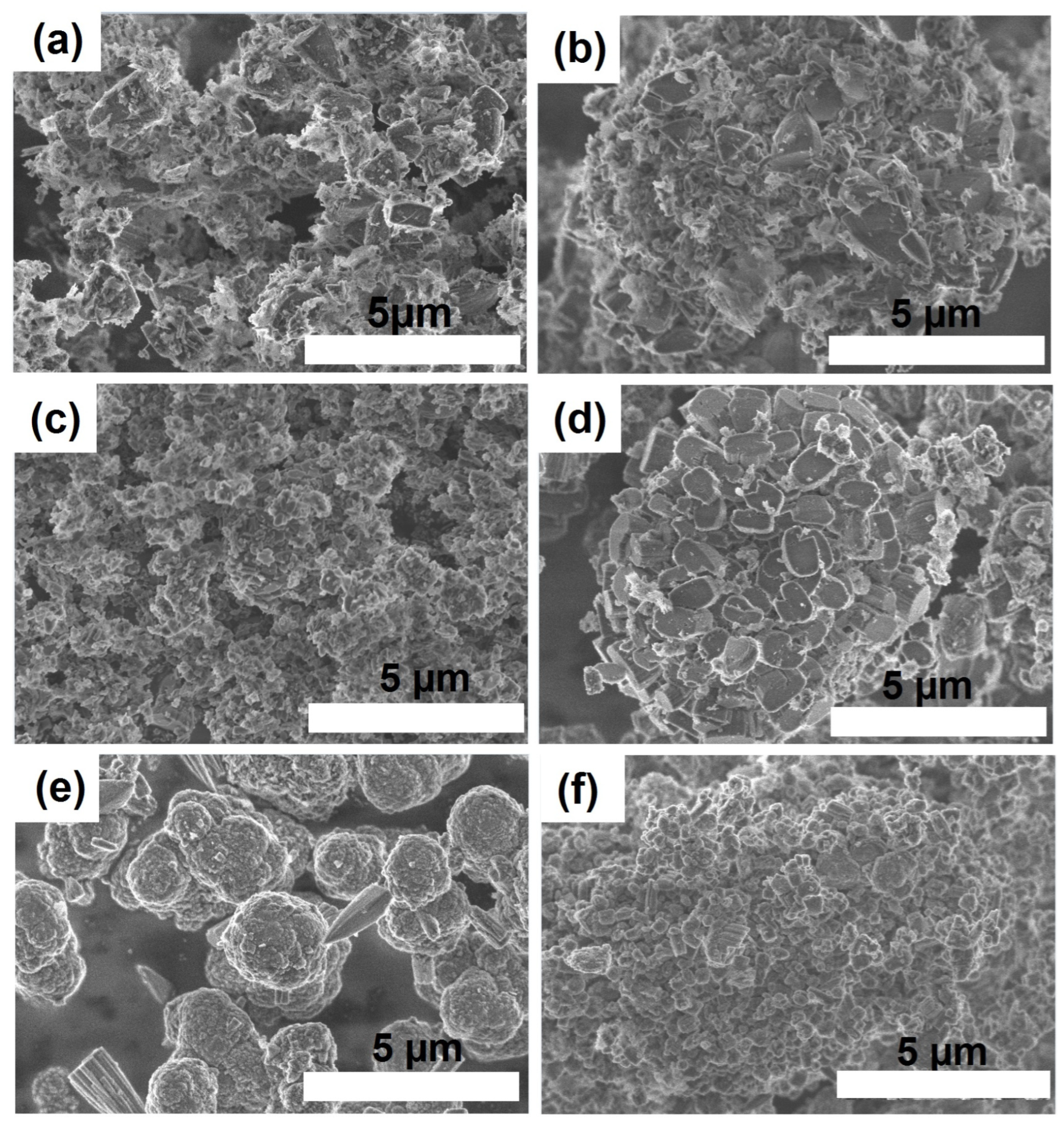 Gels 09 00123 g010