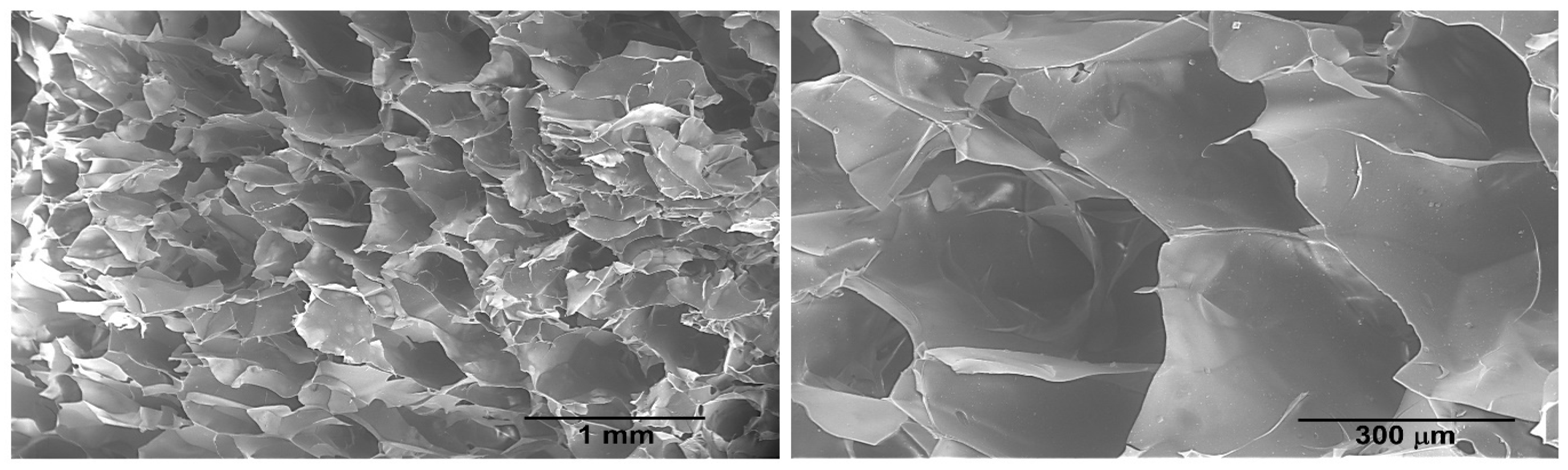 Gels 09 00124 g006