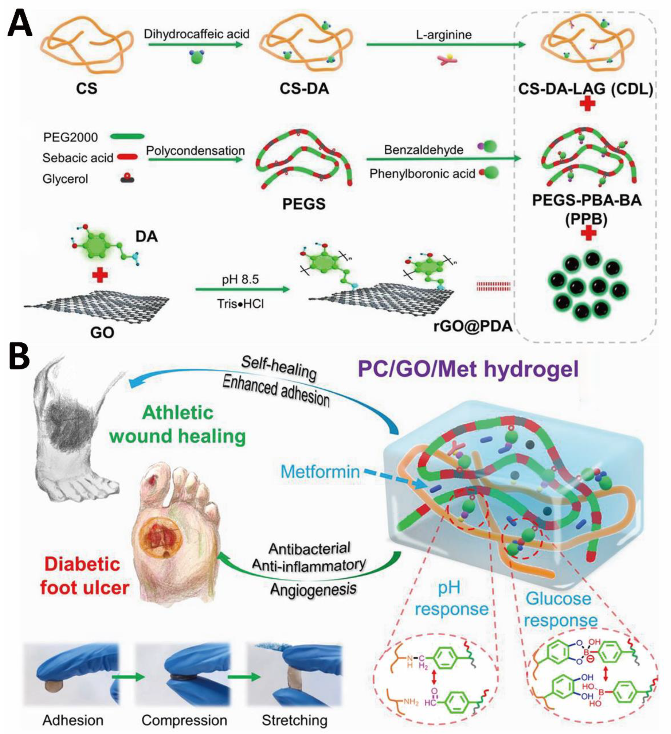 Polysaccharide-Based Multifunctional Hydrogel Bio-Adhesives for Wound ...