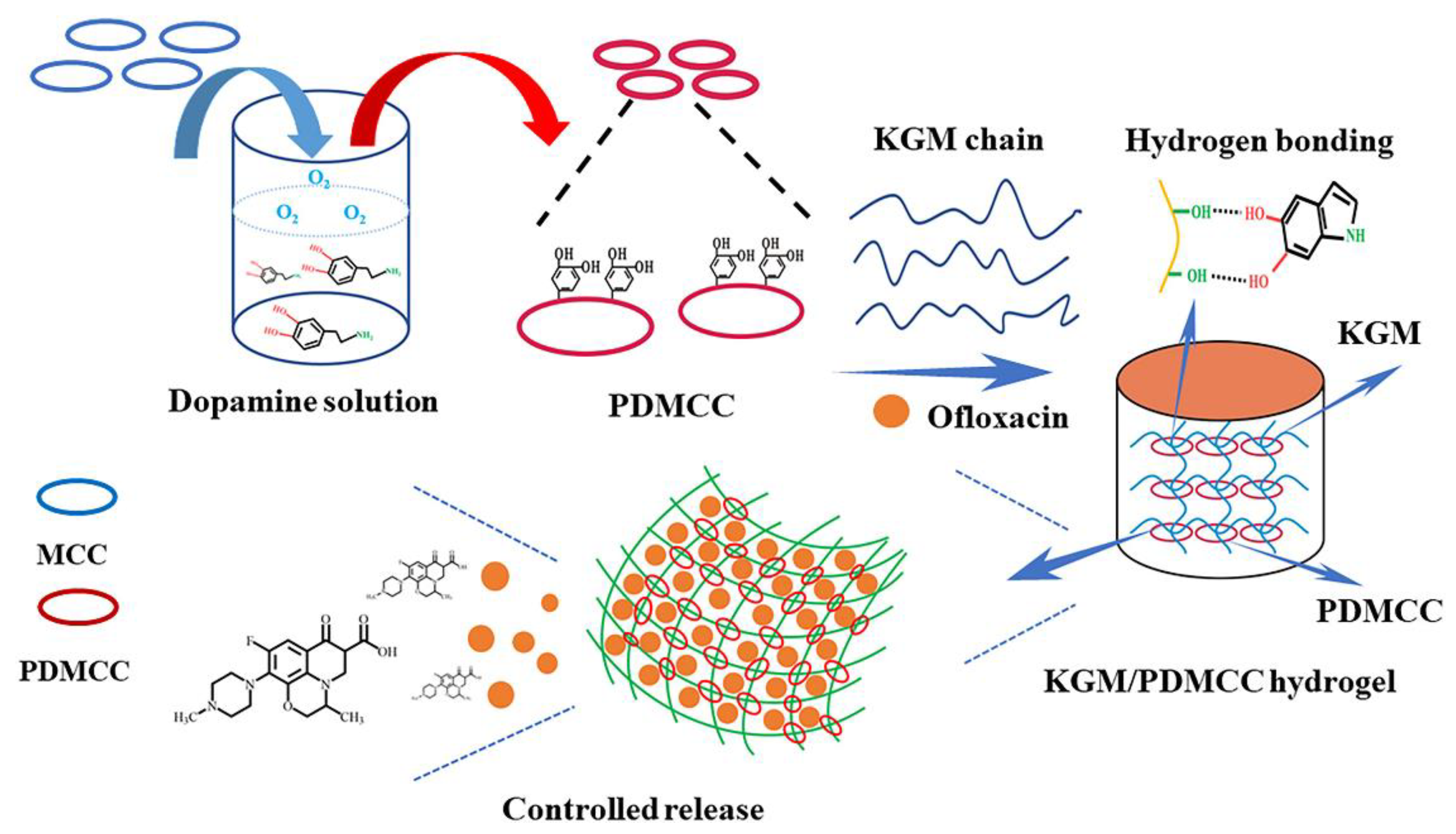 Polysaccharide-Based Multifunctional Hydrogel Bio-Adhesives for Wound ...