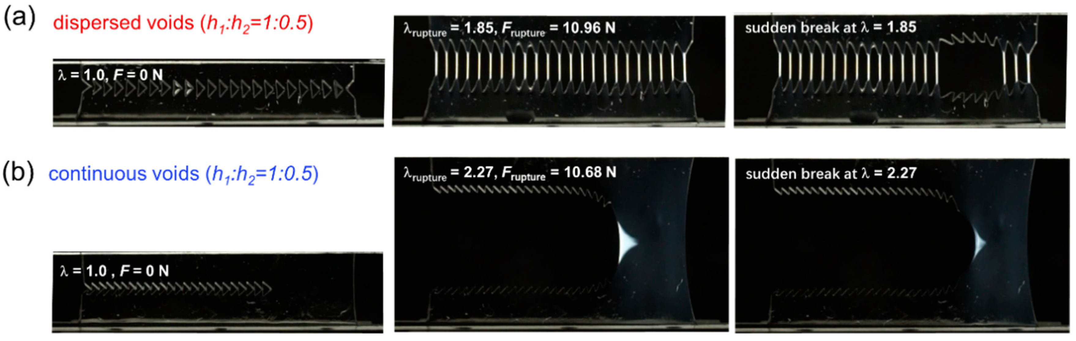 Gels 09 00158 g005 Gels 09 00158 g005