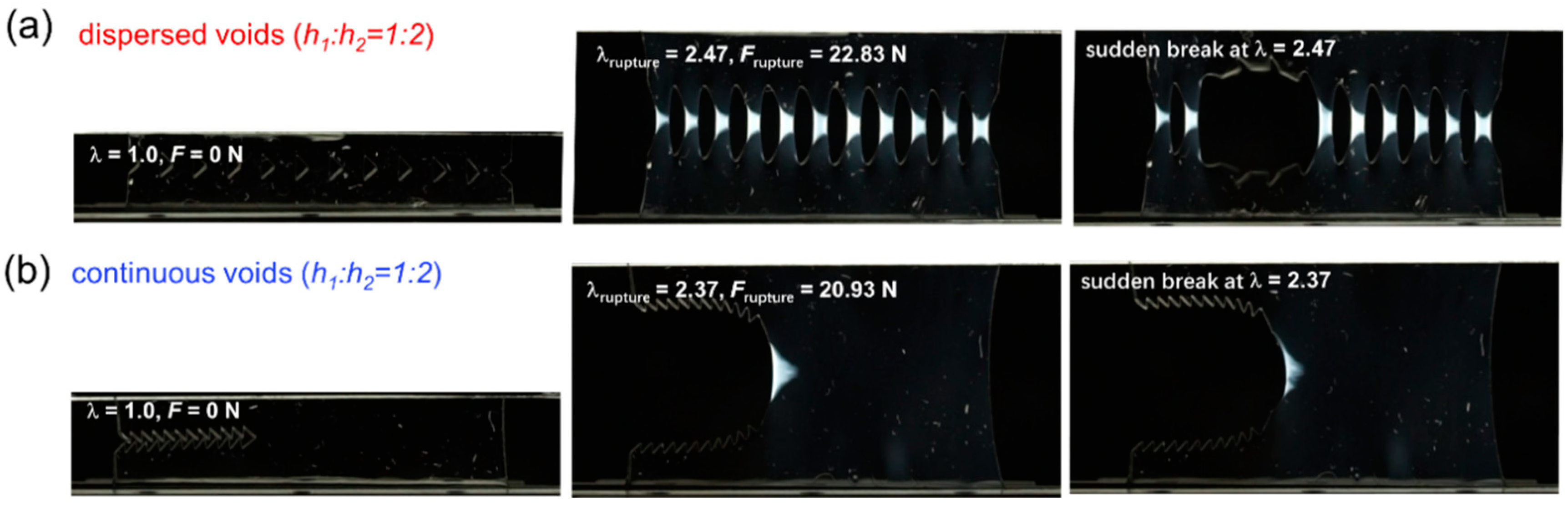 Gels 09 00158 g006 Gels 09 00158 g006