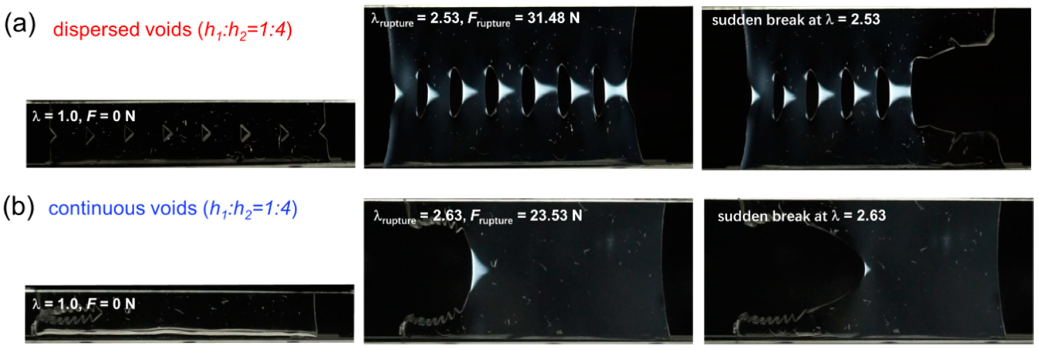 Gels 09 00158 g007 Gels 09 00158 g007