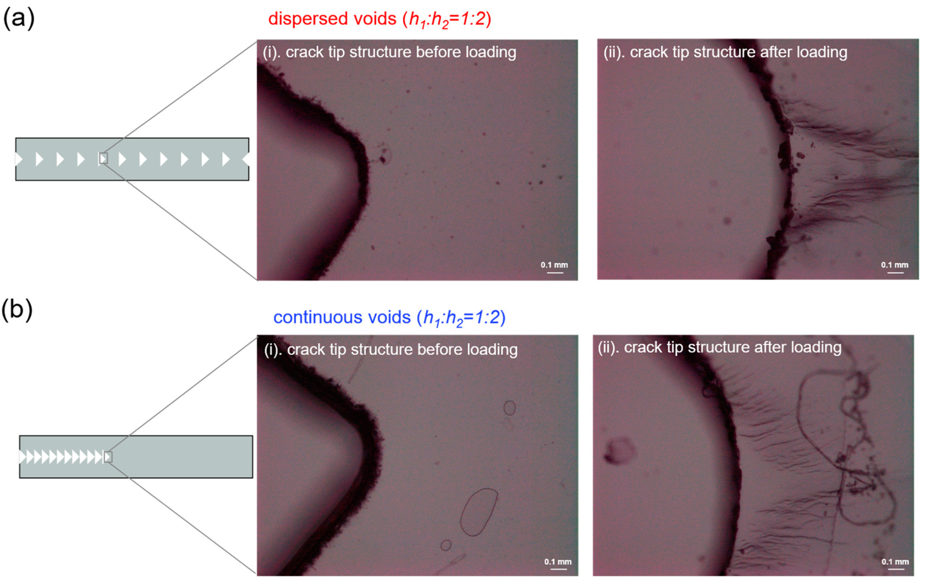Gels 09 00158 g009 Gels 09 00158 g009