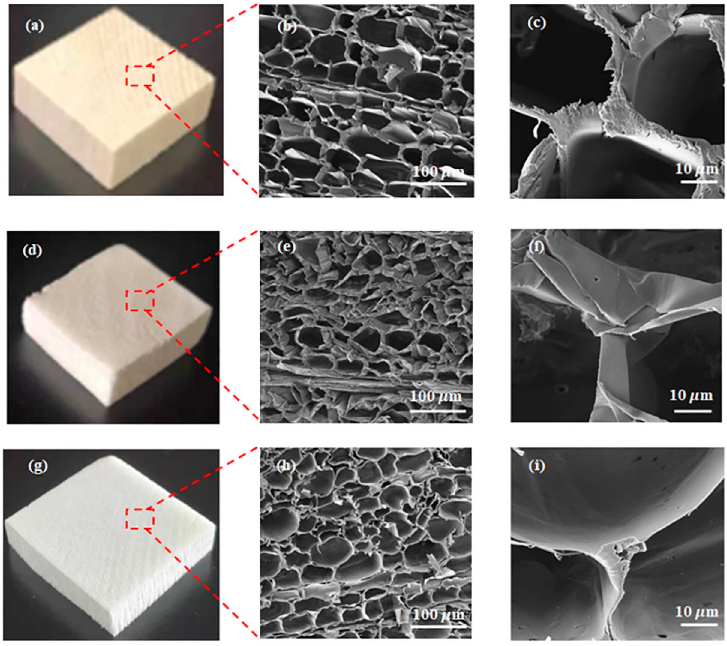 Gels 09 00170 g002 Gels 09 00170 g002