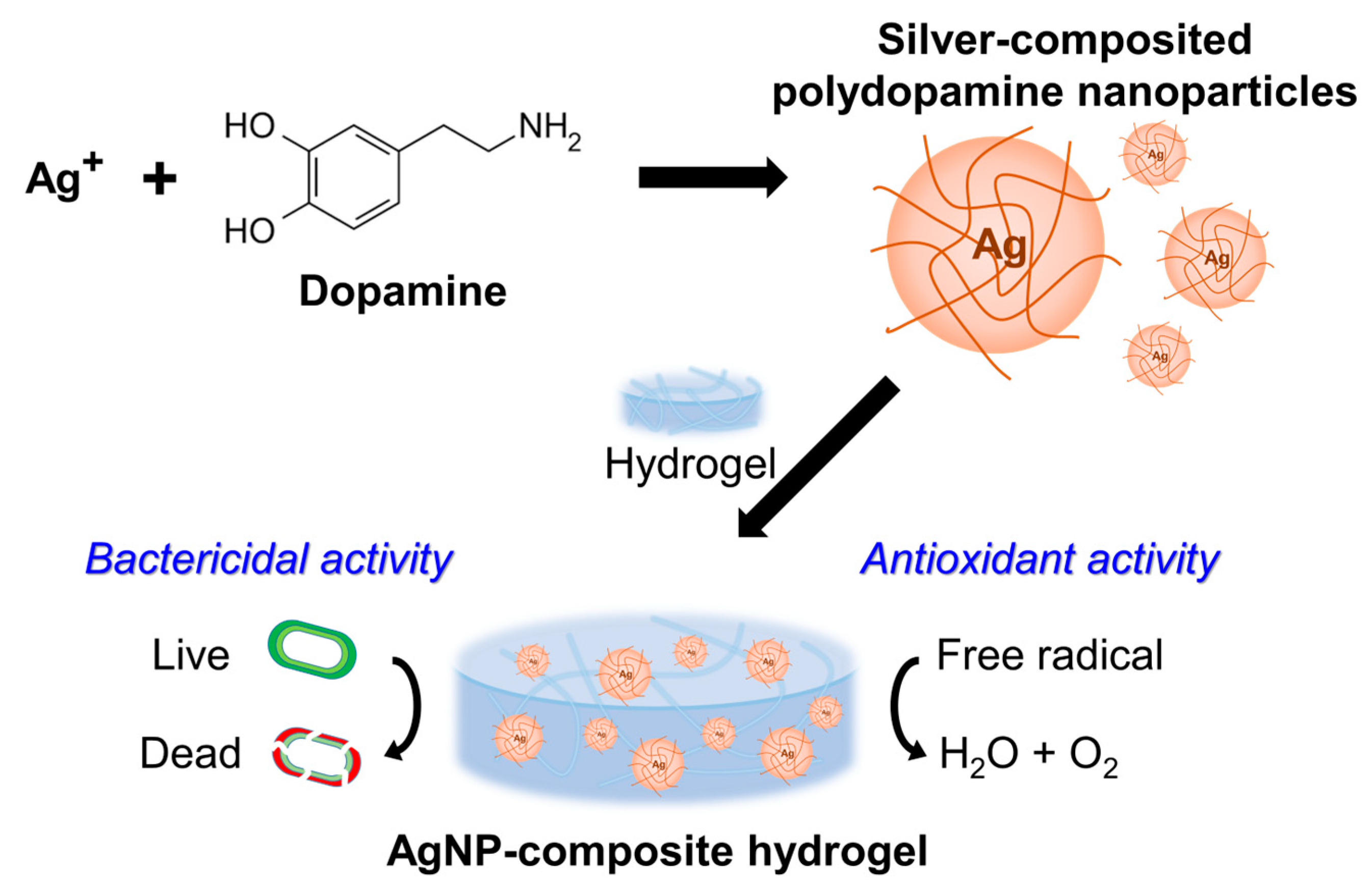 Gels 09 00183 sch001