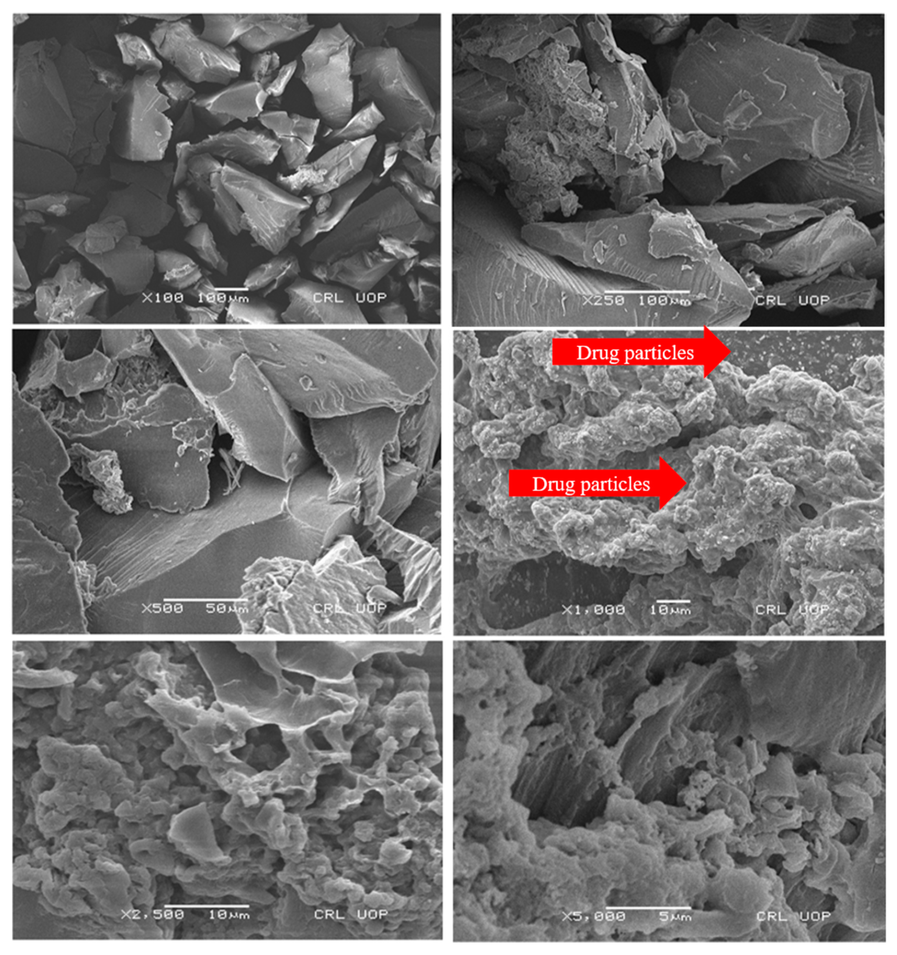 Gels 09 00187 g006 Gels 09 00187 g006