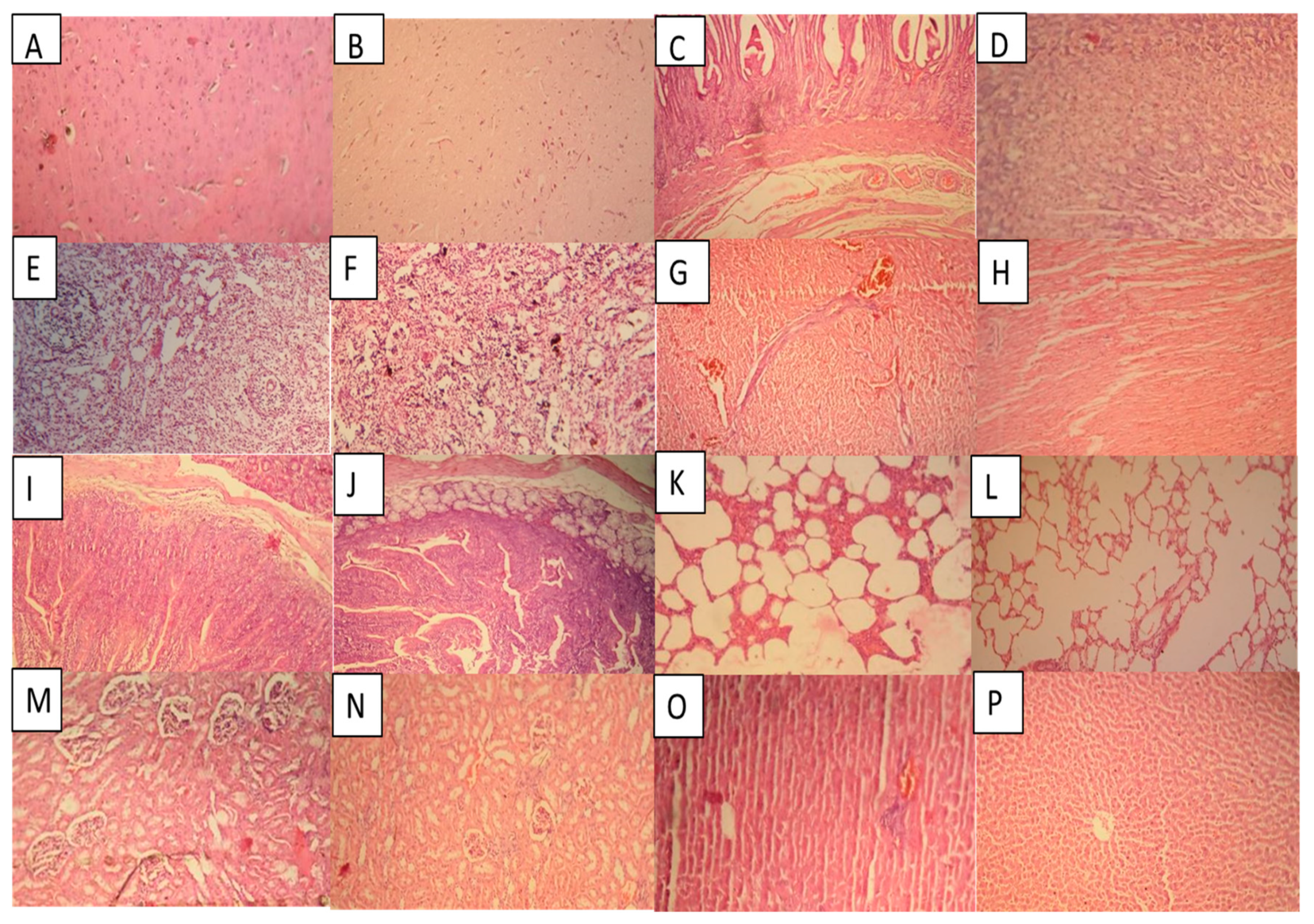 Gels 09 00187 g013 Gels 09 00187 g013