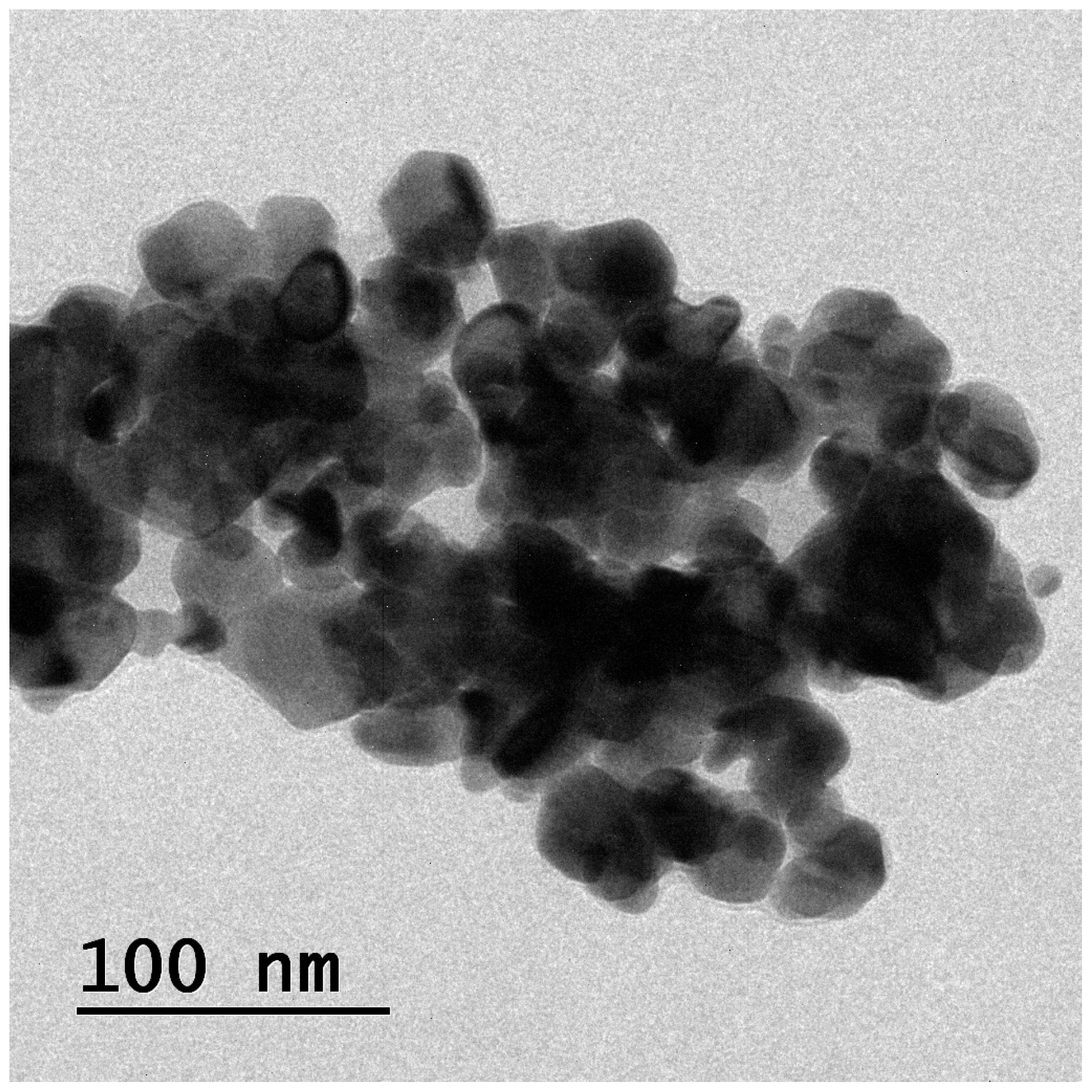 Gels 09 00228 g005 Gels 09 00228 g005