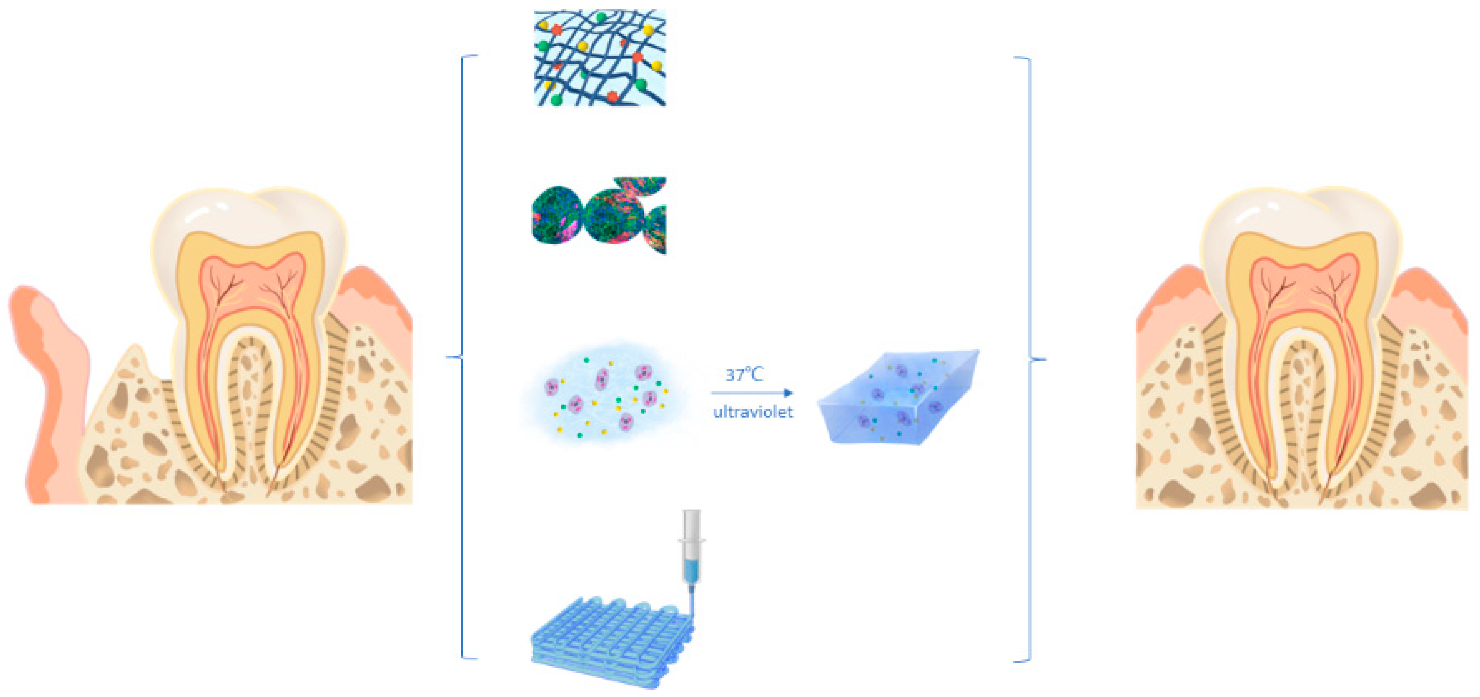 Gels 09 00245 g003