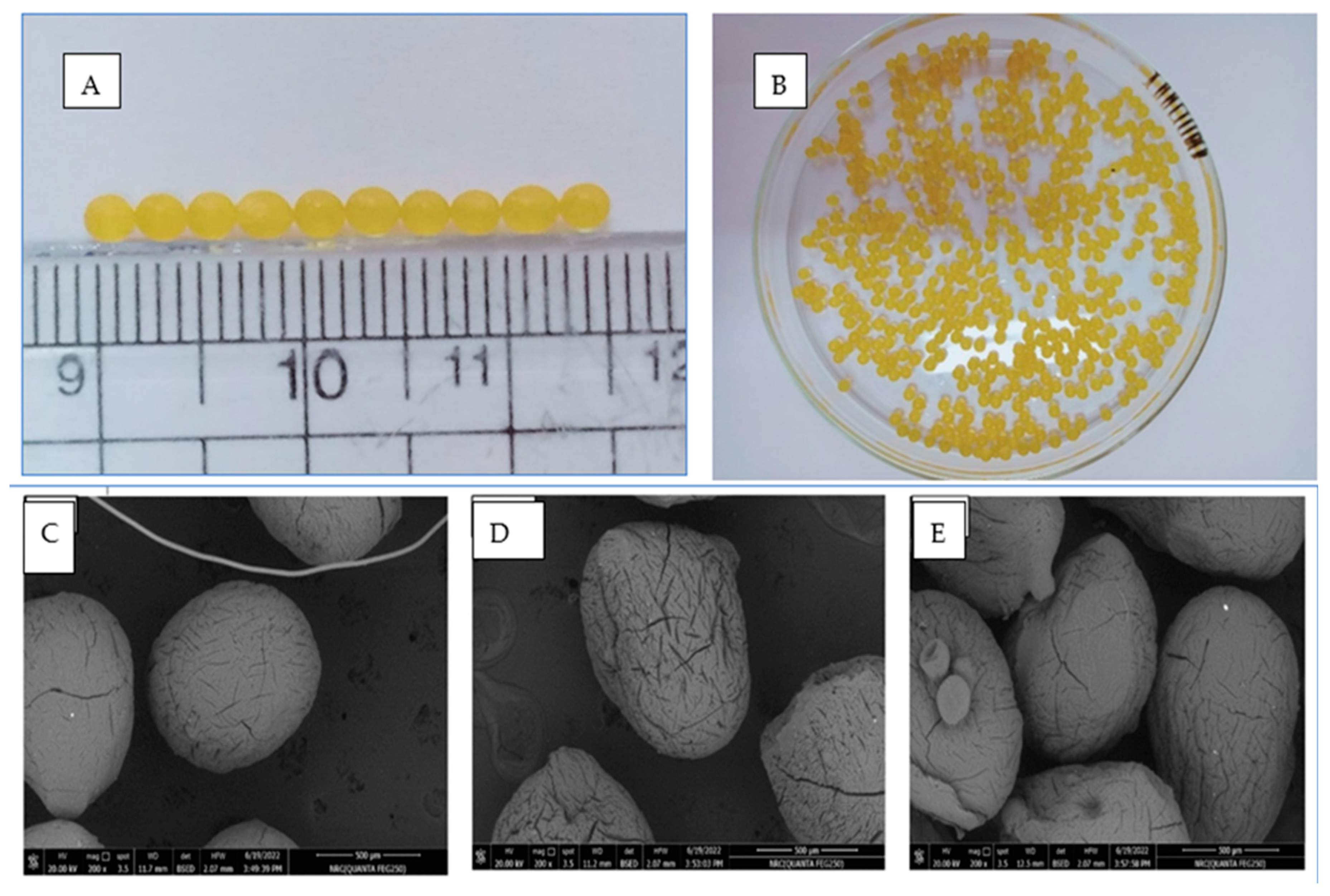 Gels 09 00264 g008 Gels 09 00264 g008