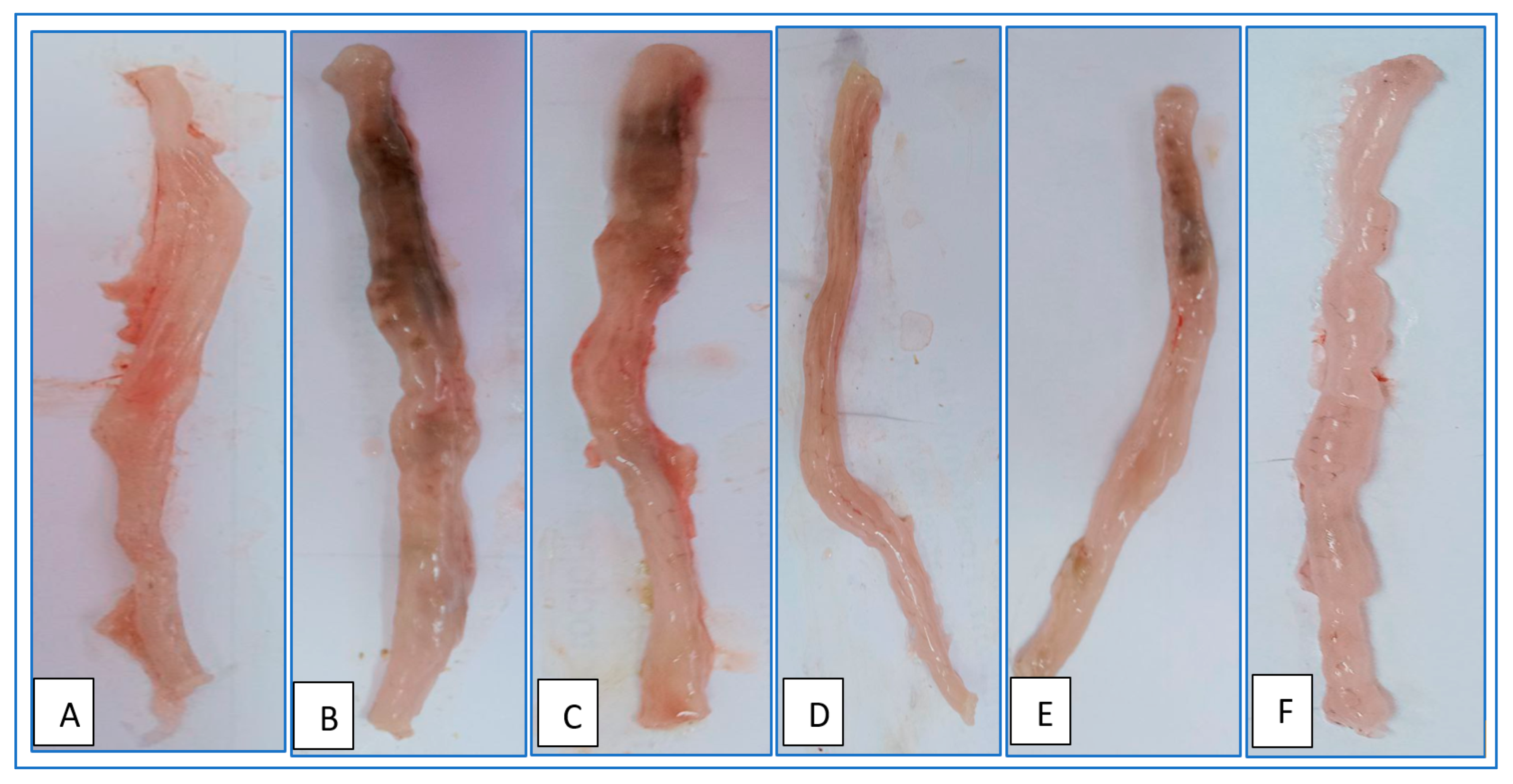 Gels 09 00264 g011 Gels 09 00264 g011