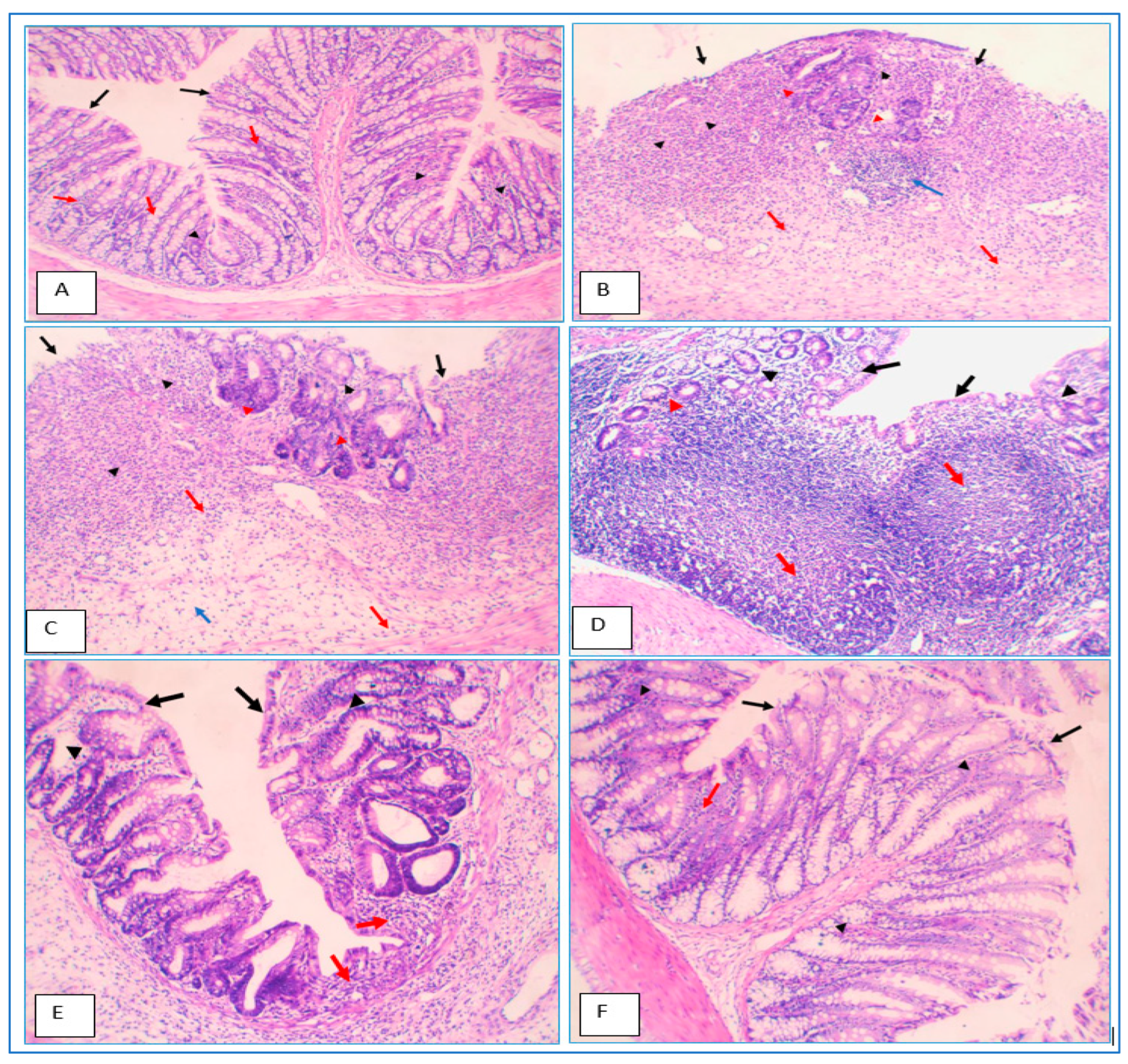 Gels 09 00264 g012 Gels 09 00264 g012